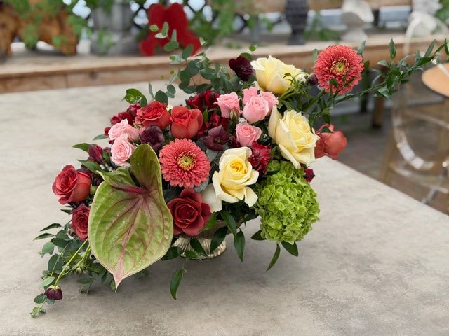 Dream In Color - A stunning array of dreamy colors to honor a life well lived. 