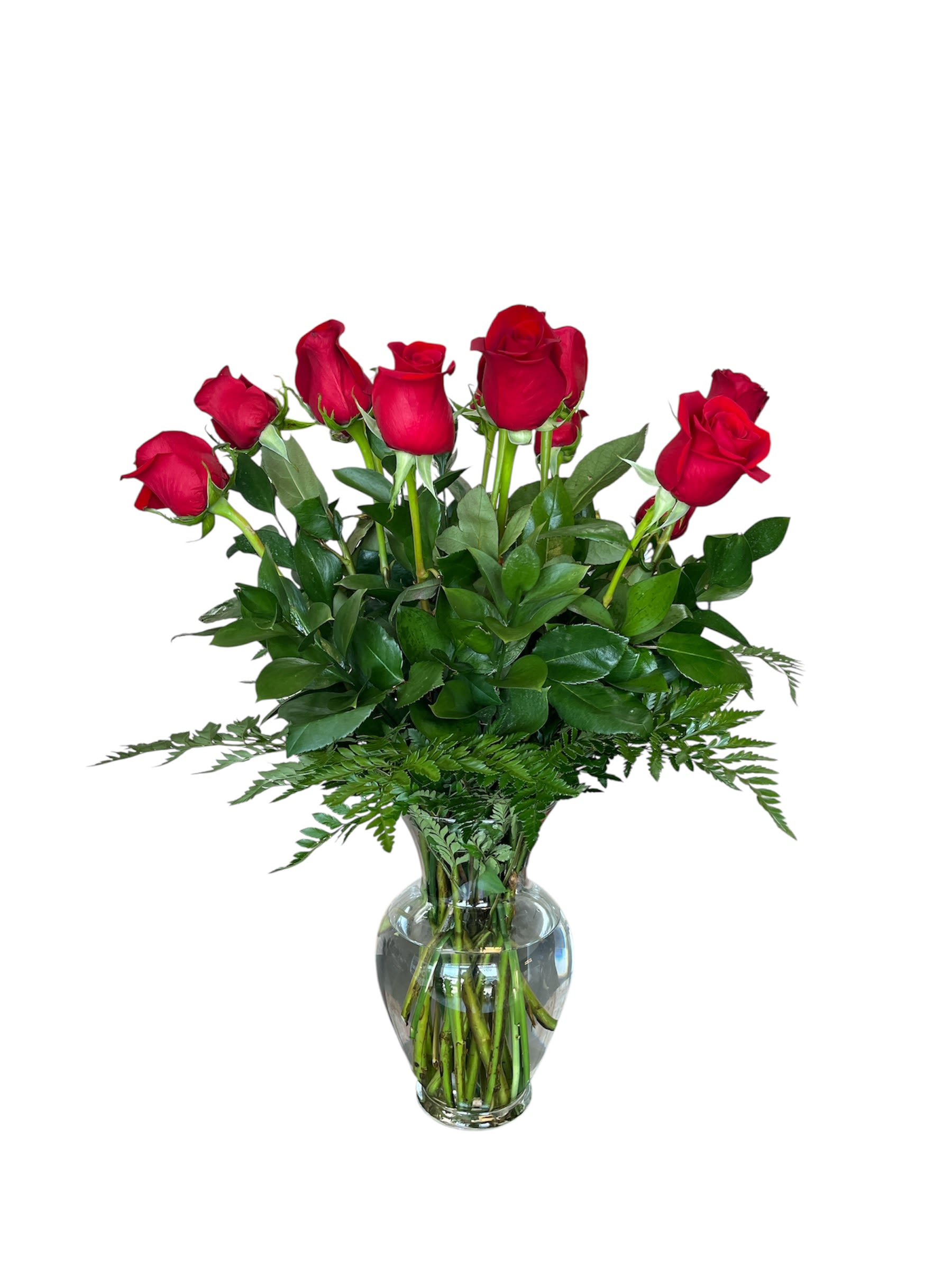 Long Steamed Dozen Roses - Beautiful red roses for that special person. Ideal for any occasion.