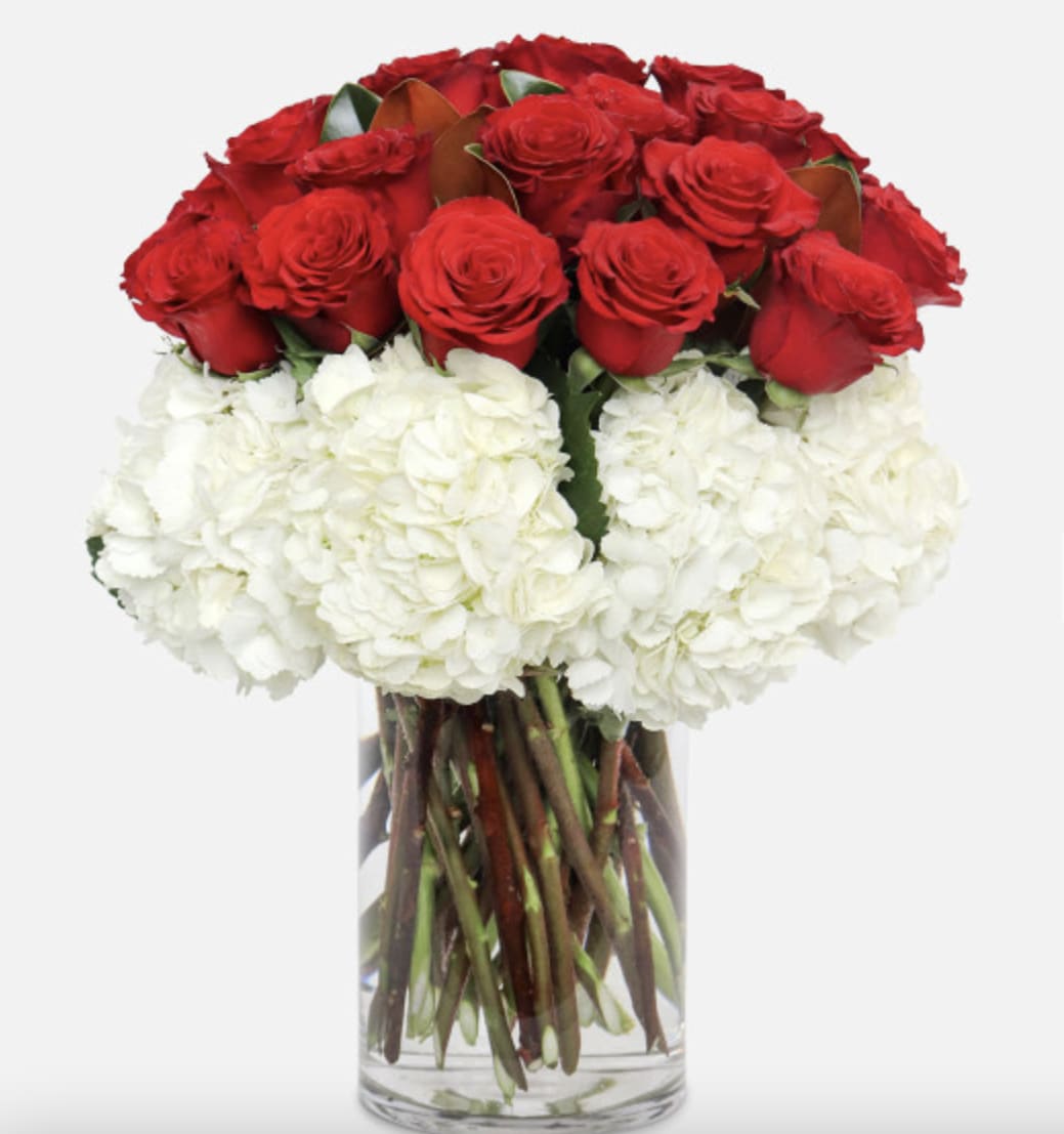 Elegant red roses and hydrangeas - A grand arrangement of elegant red roses, hydrangeas, and Leather leaves in a vase. This Amazing flower arrangement is the perfect gift for any occasion, and is sure to make anyone feel loved and appreciated. Please Note: The bouquet pictured reflects our original design for this product. While we always try to follow the color palette, we may replace stems to deliver the freshest bouquet possible, and we may replace the vase.