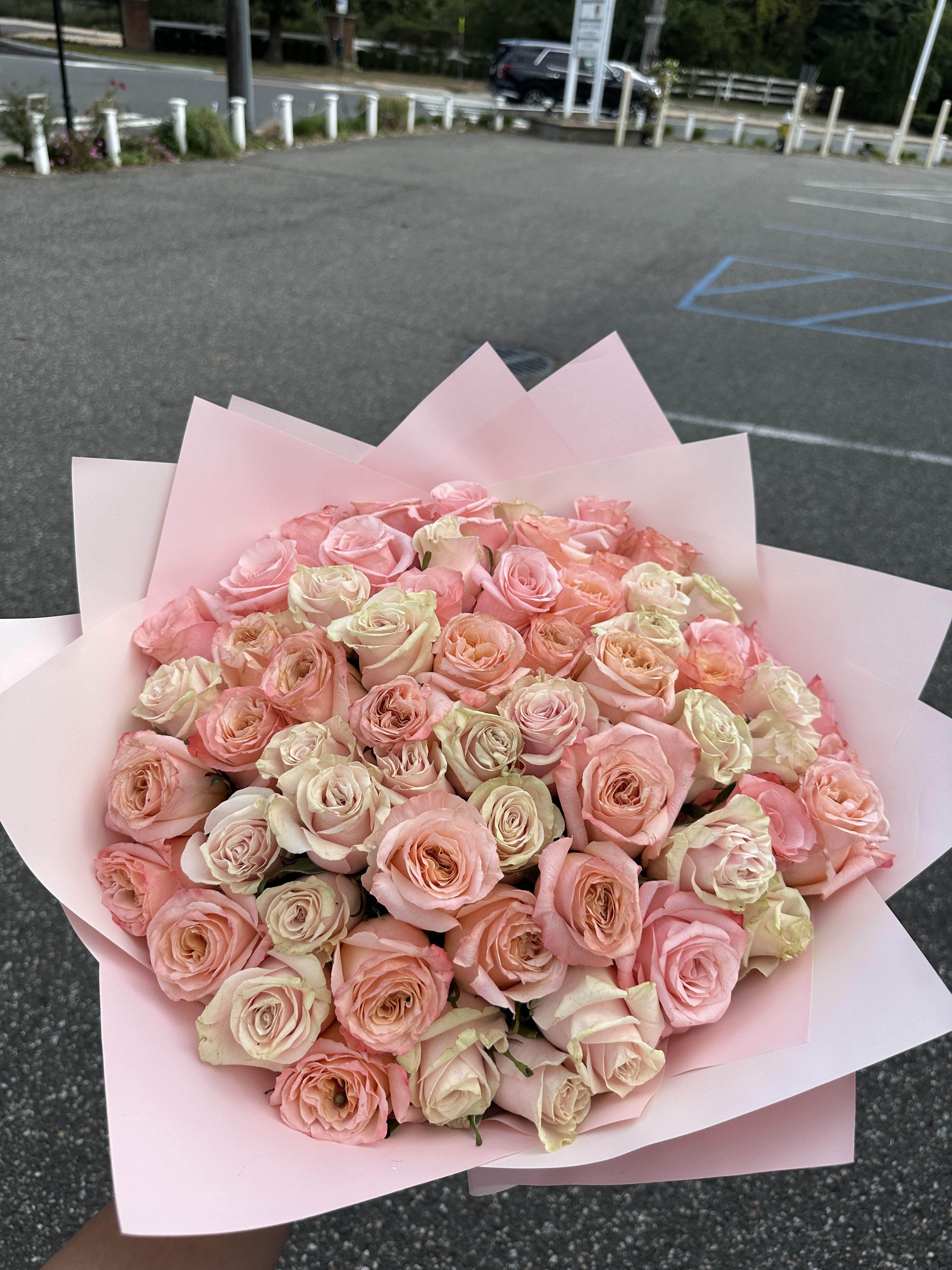 (50 rosas) Ramo buchon rosado Brentwood New York - Ramo buchon rosado de 50 rosas para enviar a cualquier lugar de Long Island, en Nueva York