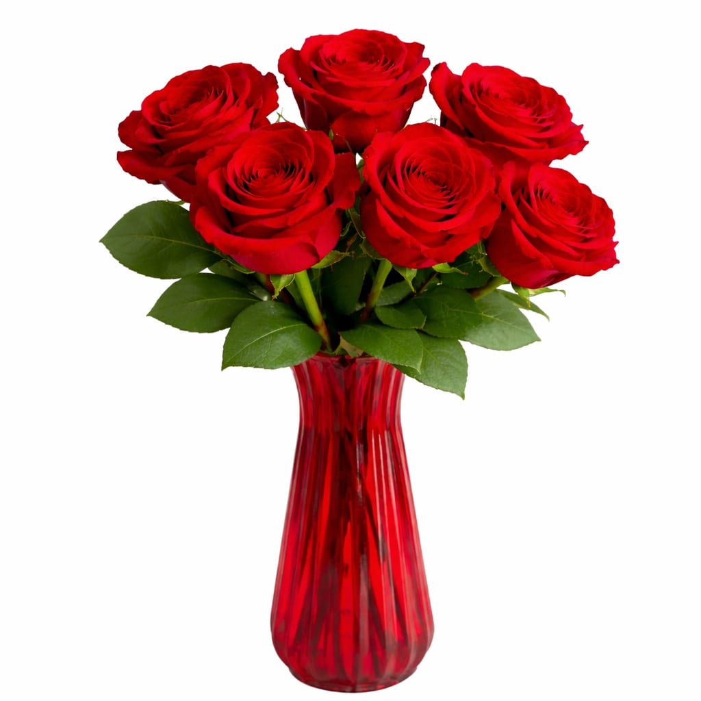 Half dozen Red Roses - Six premium red roses in red vase 