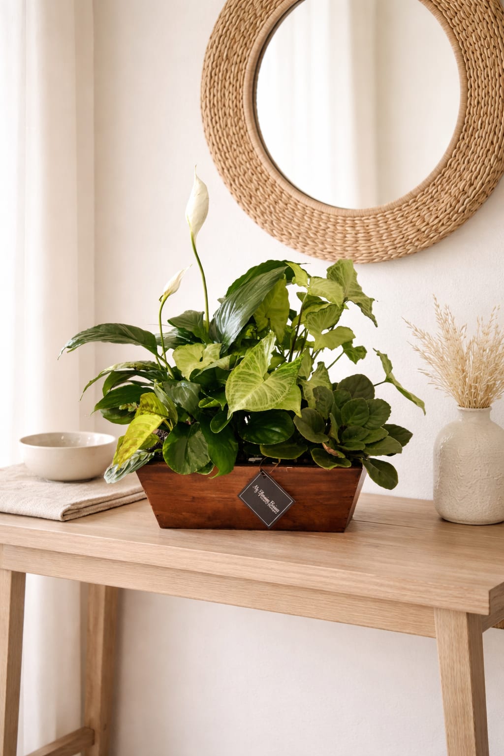 Green Dish Garden - If you're looking for the perfect gift for your loved one, look no further than a Green Dish Garden! This delightful container is full of a unique assortment of seasonal plants, giving your special someone a living and vibrant piece of nature - perfect for brightening up their day. Whether your loved one is a gardening enthusiast or could benefit from some natural healing art in the home, the Green Dish Garden is the perfect gift for the occasion. With custom design placements that come in a range of sizes and colors, you can rest assured your loved one will have a personal gift to enjoy for years to come. Let your special someone indulge in the wit and beauty of nature with the Green Dish Garden!