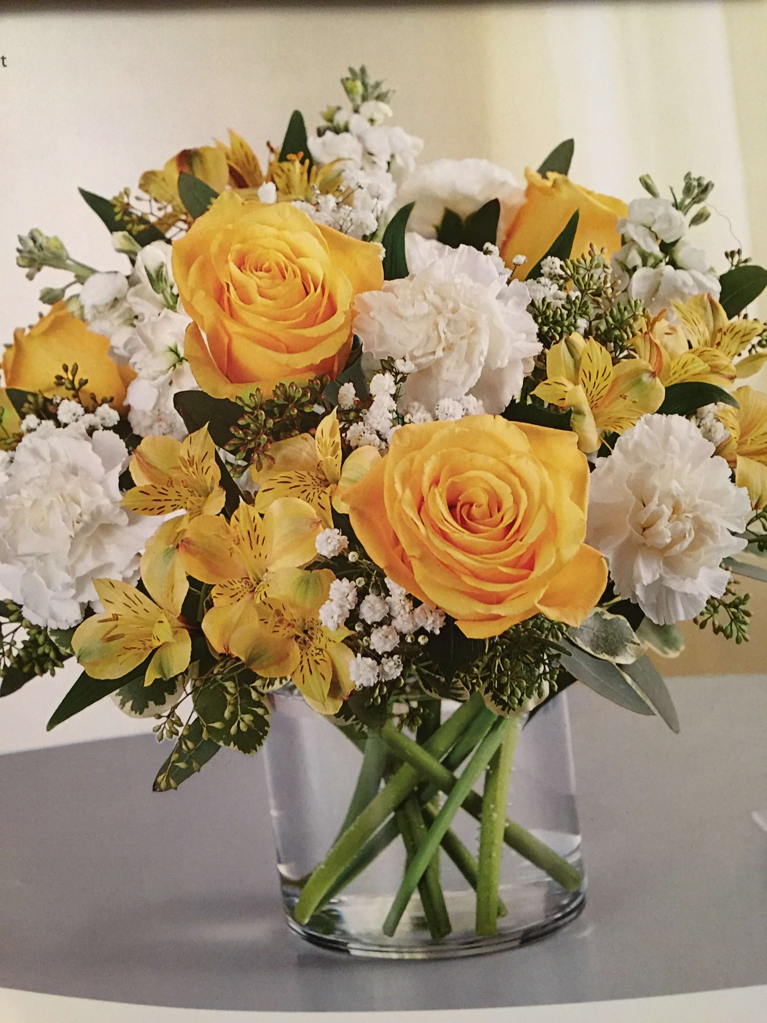 Yellow social  - Yellow roses, white carnations big and mini, white stock with yellow alstroemeria and green in 6" cylinder vase and bow.