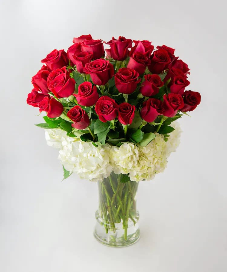 Perfect Love  - This modern arrangement of 36 long stem roses surround with hydrangea and hypericum berries arrange in tall vases. Limited for Valentine's day only.  