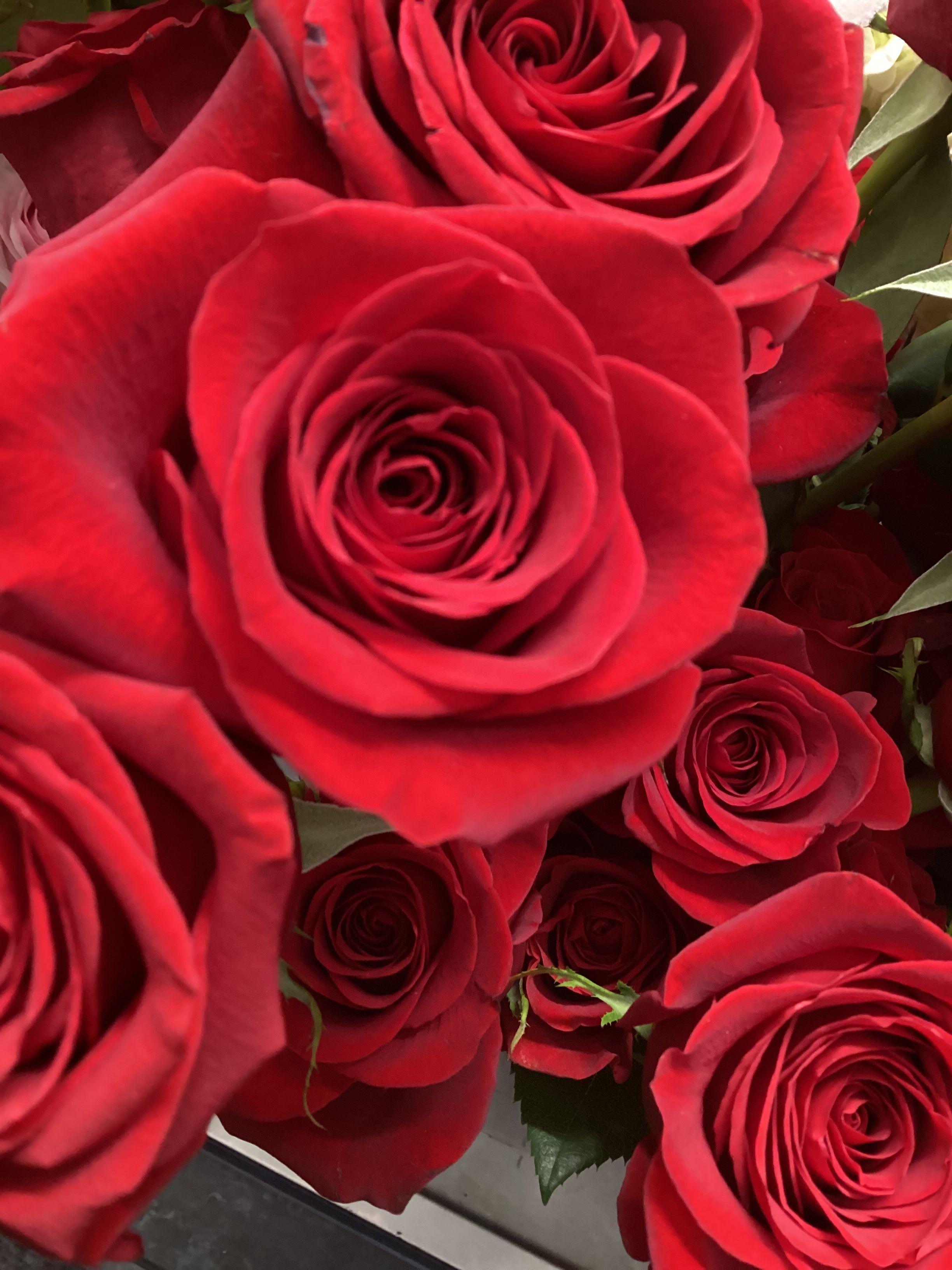 1 Dozen Roses Wrapped - 1 Dozen Roses wrapped with lush greens &amp; filler. Please specify color when ordering.