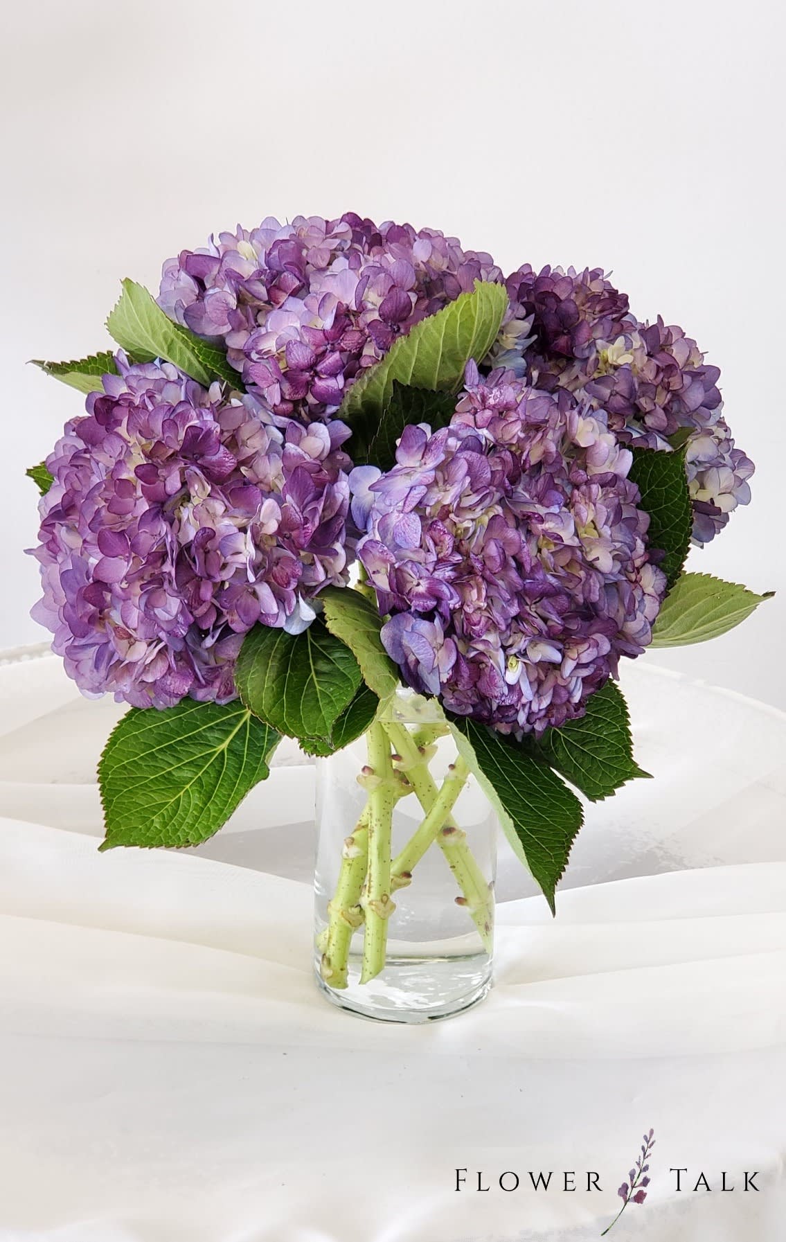 Purple Harvest - A simple but lovely bunch of purple-dyed hydrangeas. This arrangement will liven the room up with a warmness that comes with autumn.    Please note: This arrangement may include blooms that have been colored using floral dye and may at first have a strong odor. This usually fades as time passes. 