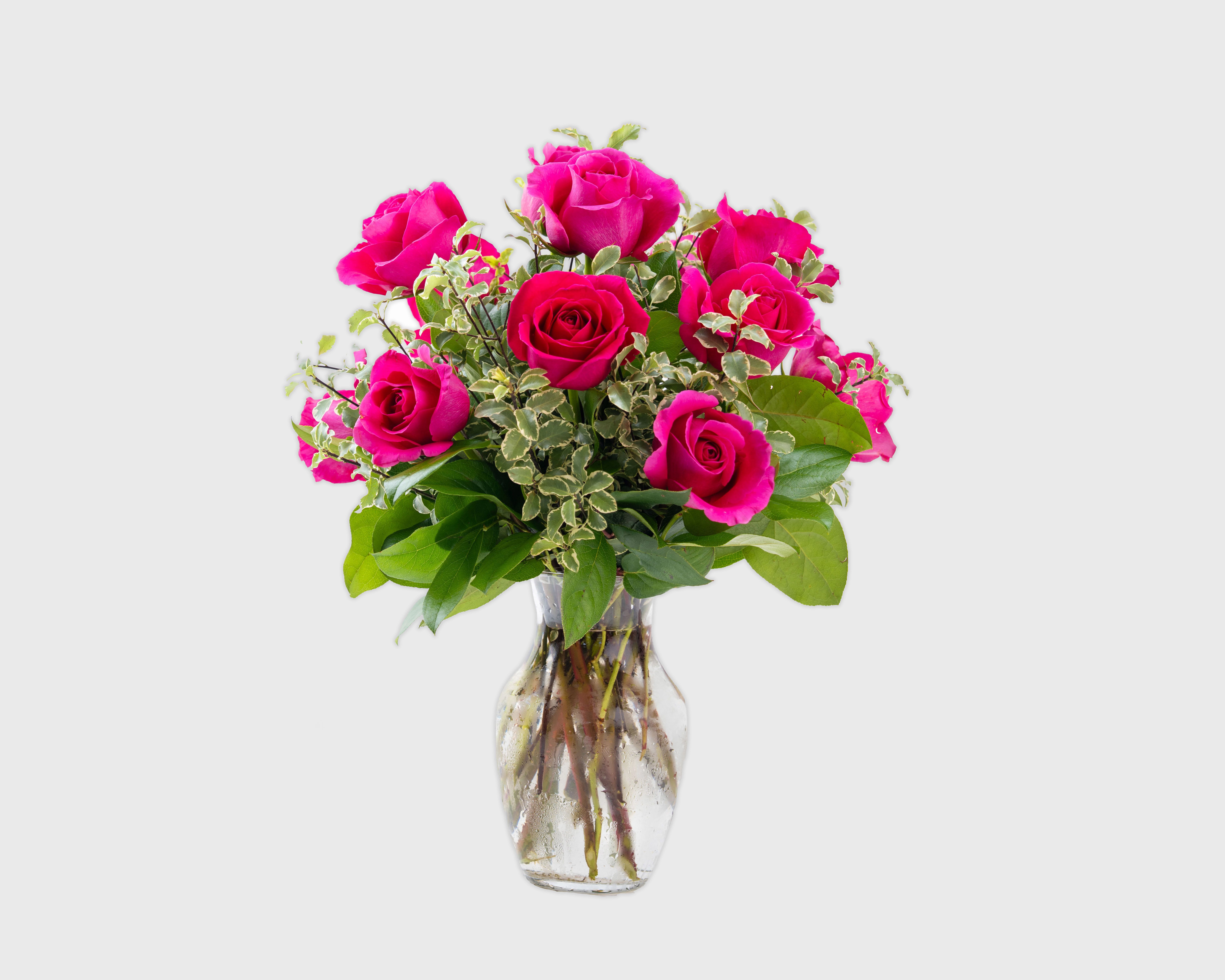 Dozen Medium Stemmed Pink or Red Roses - One dozen long stemmed pink roses.