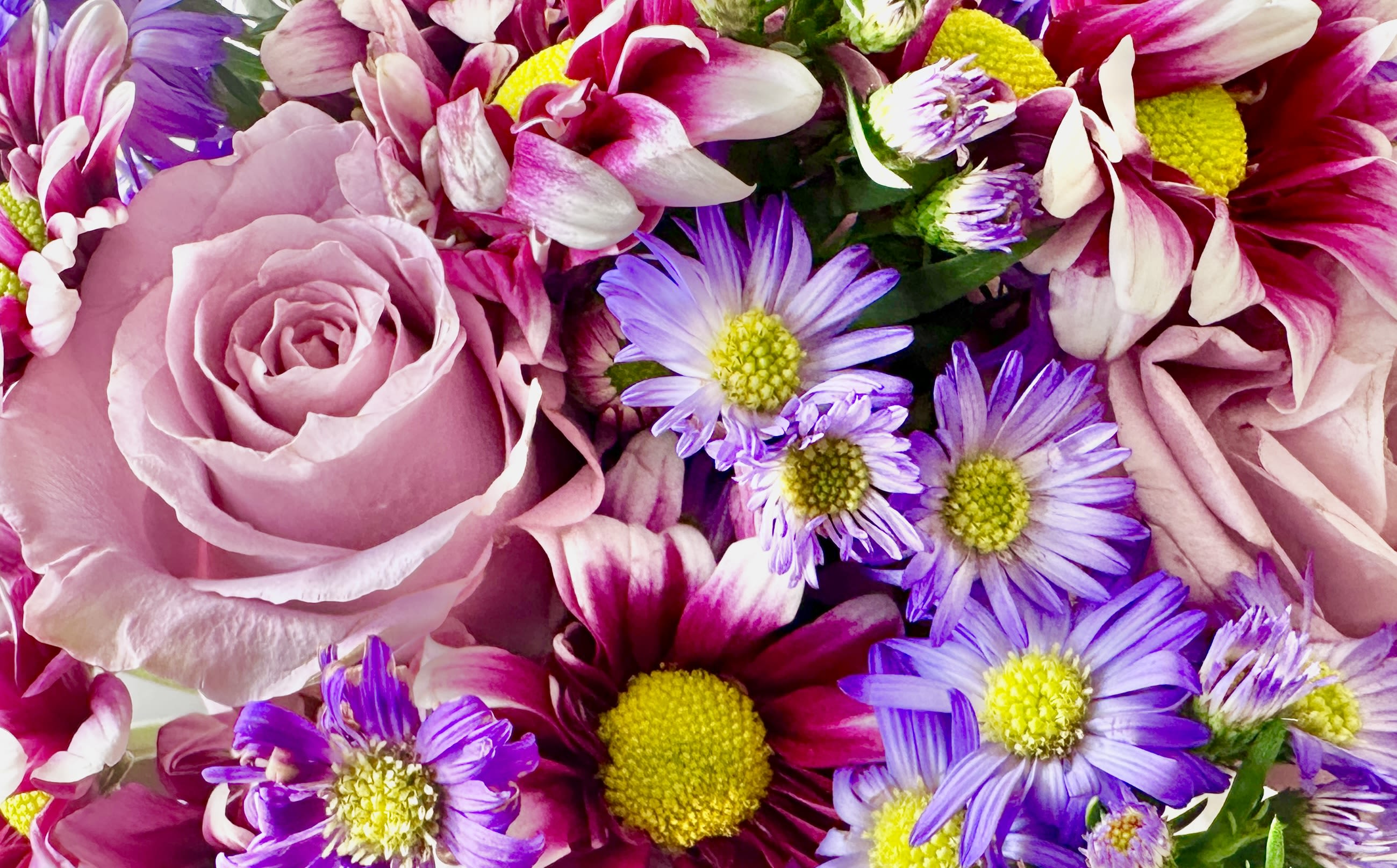 Valentine's Day Florist Choice  - Mixed with the freshest flowers.