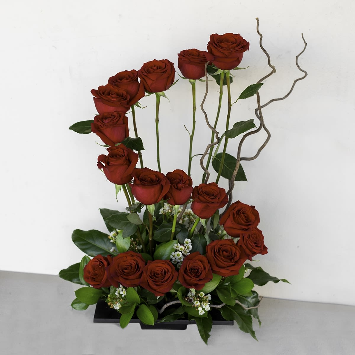Circle of Love – Rose Arrangement - Celebrate timeless romance with the "Circle of Love" rose arrangement of 17 Red Roses.  Featuring a stunning display of velvety red roses meticulously arranged in a graceful circular shape, this design symbolizes eternal love and unity. Accented with lush greenery, delicate filler flowers, and artistic curly willow branches, it's presented in a sleek, modern base—perfect for anniversaries, romantic gestures, or special occasions that deserve a heartfelt touch.