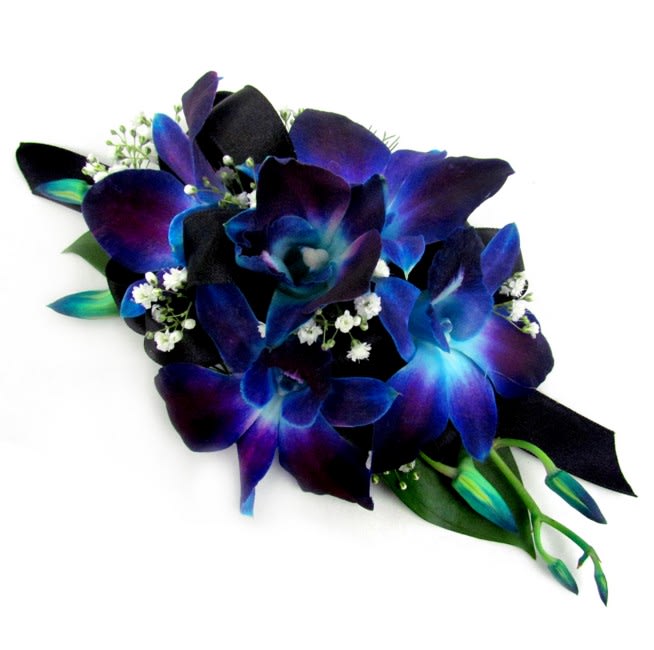 Dendrobium Orchid Corsage (Wristlet) - A spray of dendrobium orchids nestles against shiny green leaves and baby's breath in this traditional design. This wristlet corsage is available in three colors.  Standard - Dyed Blue Orchid Wrist Corsage  Deluxe - Purple Orchid Wrist Corsage  Premium - White Orchid Wrist Corsage  Our wristlet corsages are made to order and can match any dress color and style. Please call one of our friendly sales associates at 619-237-8842 to discuss color and size options.