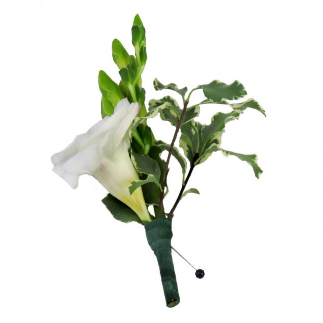Freesia Boutonniere - In need of a floral boutonniere, but don't want the classic rose, and don't want a tropical orchid? Sounds like Freesia is just what you're looking for! This fragrant flower has multiple blooms on each stem, most of which will still be in bud form. Adorned with a sprig of greenery, this option can also be upgraded to Deluxe with the addition of a succulent (shown in pics).  Standard - Single Stem of Freesia Deluxe - Single Stem of Freesia PLUS One Succulent  White Freesia is most popular, hence our default option, but Freesia is also available in yellow, pink and purple. Please call one of our friendly sales associates at 619-237-8842 to discuss color and size options. Our exclusive boutonnieres are always made to order!
