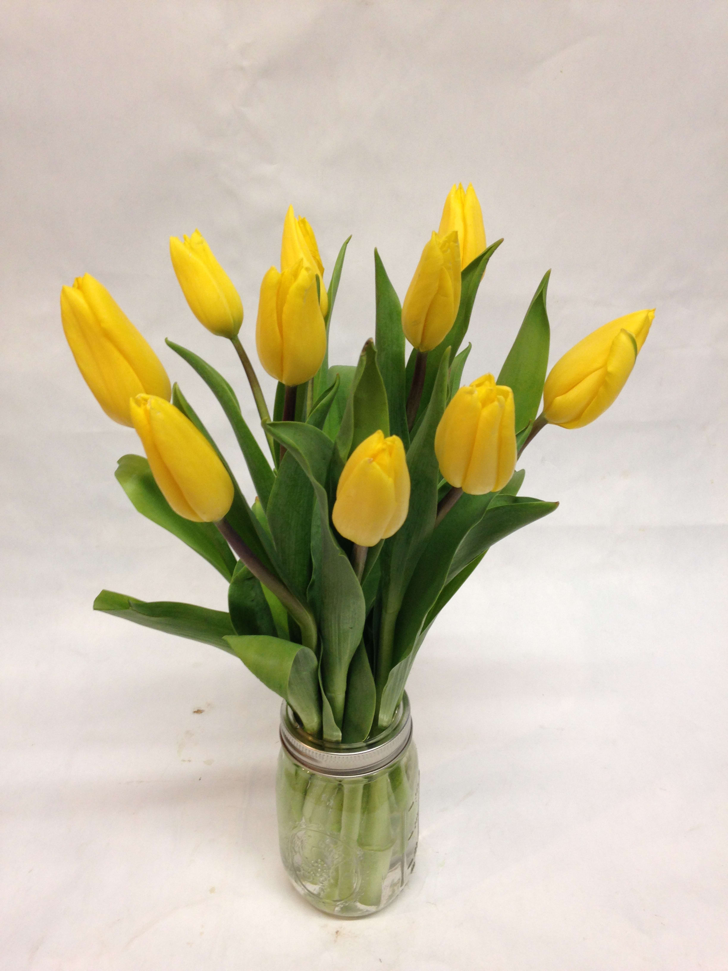 Simply Tulip Jar II - This sweet arrangement keeps things simple with a ten stem bunch of tulips in a mason jar. Tulip color options are based on availability, but include: purple, pink, white, yellow, orange, and red. Featured Arrangement: $48.99
