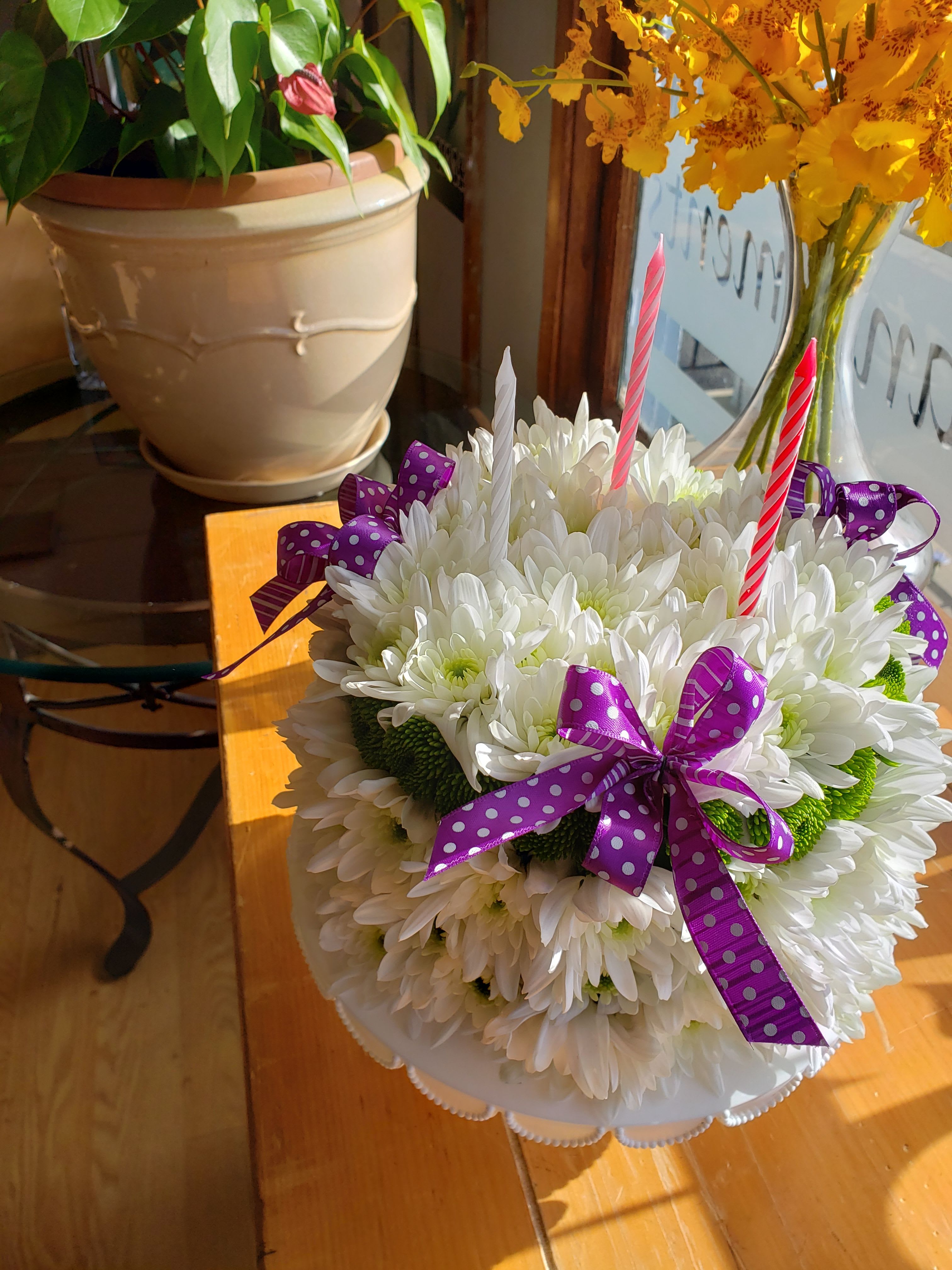 happy birthday - white pompoms