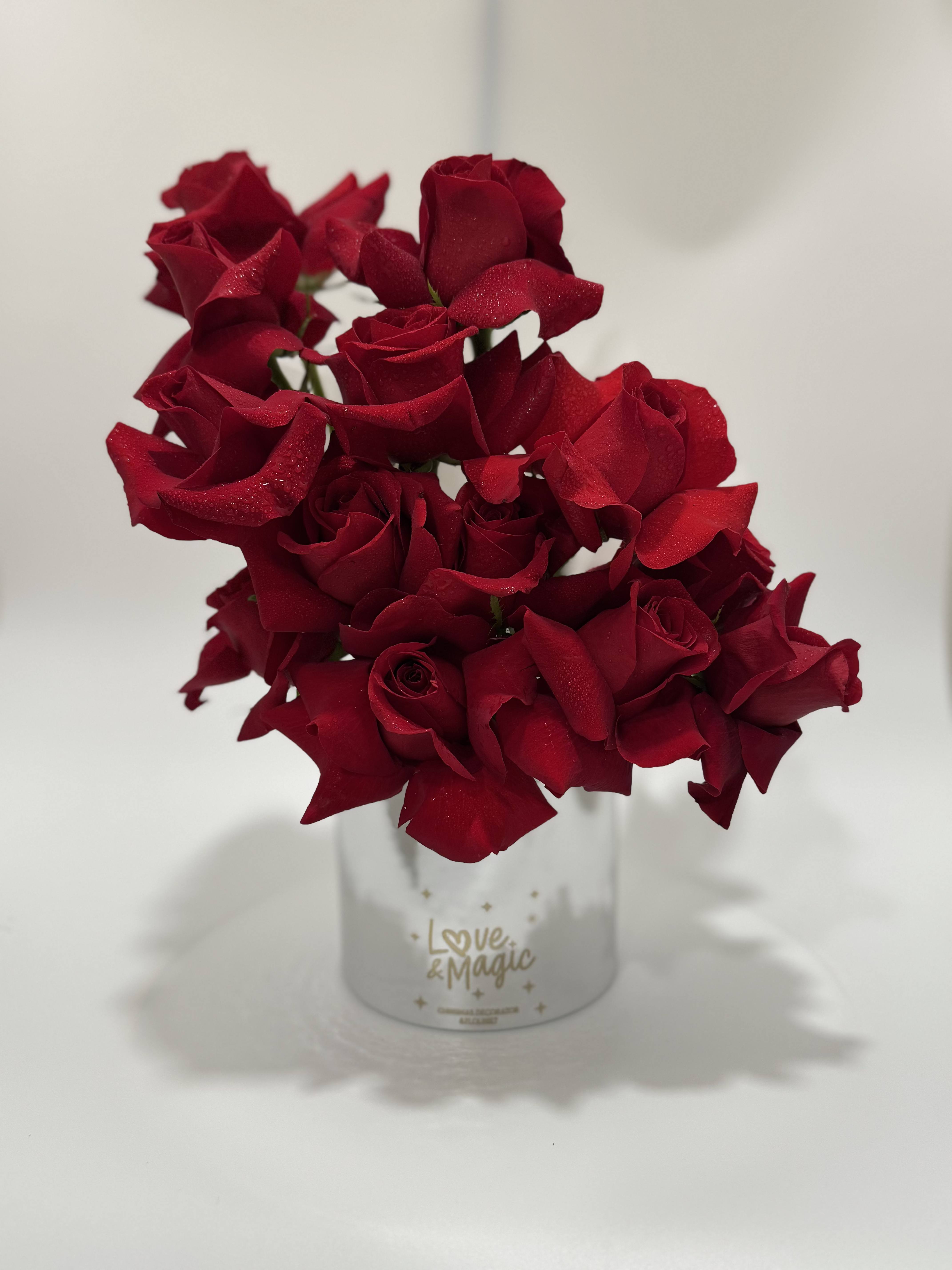Forever Red  - Arrangement of elegant red roses in a round base ideal for all kinds of occasions
