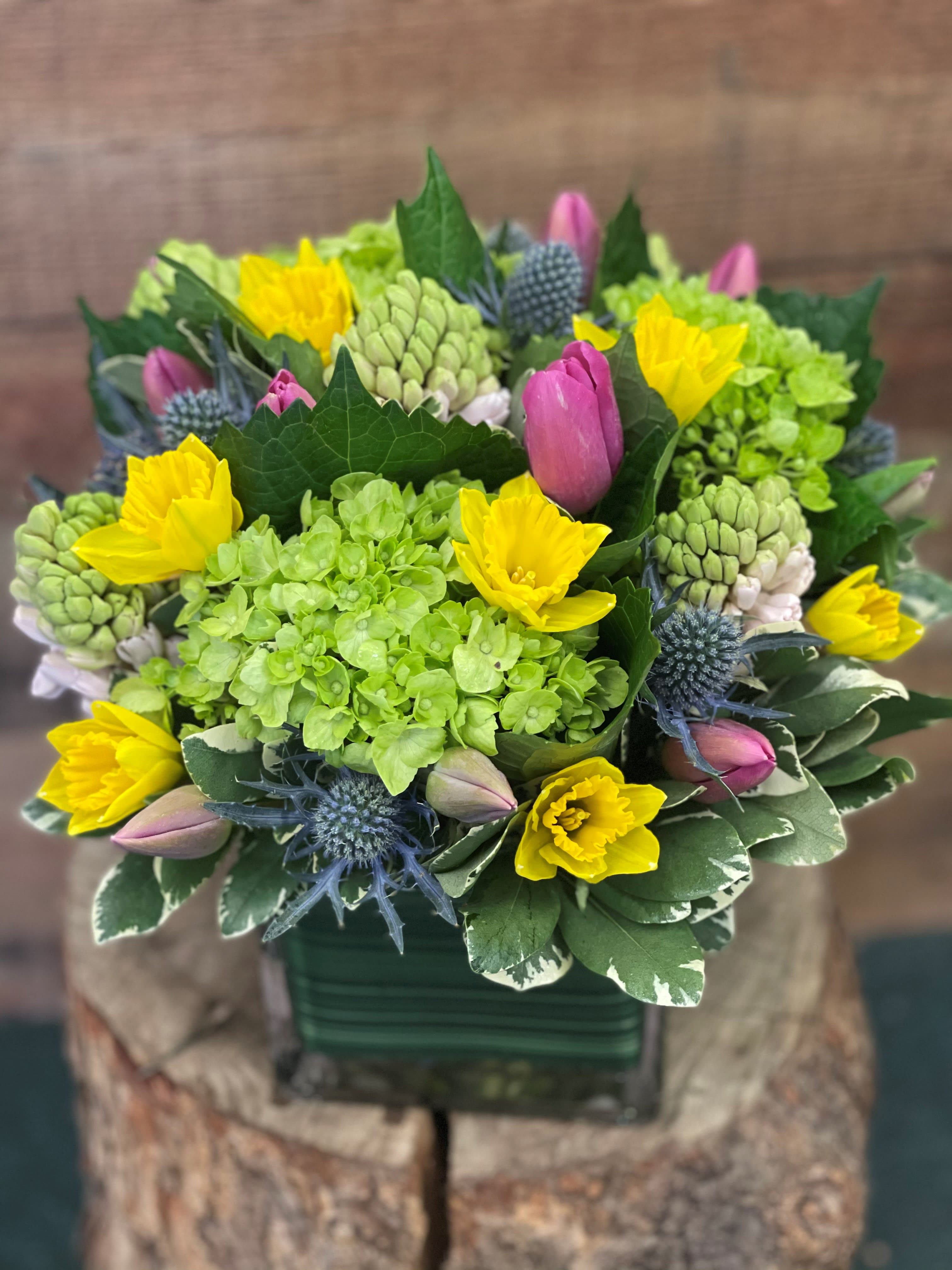 Spring Contempo - This arrangement may be modern and compact, but it is bursting with spring favorites. Tulips, hyacinths, daffodils accented with hydrangea all in a leaf wrap clear cube. 
