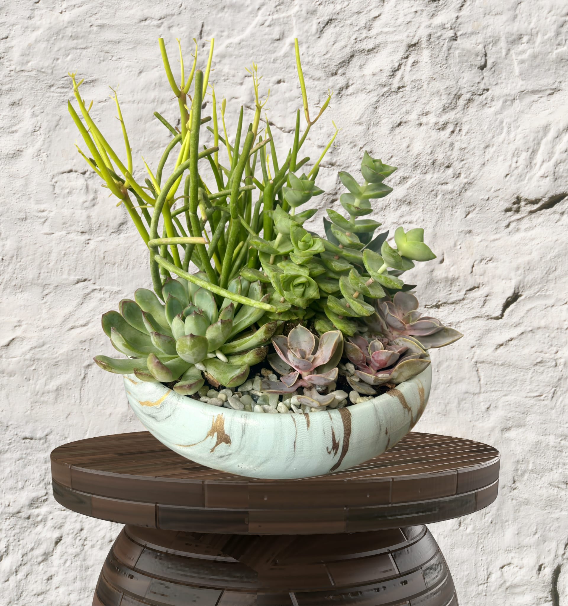 Artisan Succulent Estate Garden - The Artisan Succulent Estate Garden Bring a touch of sophisticated, enduring greenery into your space with our Artisan Succulent Estate Garden. This high-end, custom-designed planter is a curated "living landscape" housed in a premium, large-scale vessel. Designed for the discerning eye, this garden offers an upscale, low-maintenance alternative to traditional floral arrangements.  The Luxury Details Specimen Selection: We hand-select premium succulents—from velvety Echeveria to architectural Haworthia and rare, colorful Crassula.  Artisan Composition: Our designers layer varying textures, heights, and hues to create a multi-dimensional garden that looks stunning from every angle.  Custom Top-Dressing: Finished with high-end elements like polished river stones, volcanic rock, or organic moss for a clean, editorial look.  Bespoke Vessels: Your garden is planted in a custom, upscale container—from sleek modern ceramic to hand-finished stone—chosen to complement your aesthetic.  Enduring Elegance Perfect as a grand centerpiece for a corporate lobby, a sophisticated gift, or a permanent accent for your home. Unlike cut flowers, this succulent estate garden is designed to grow and thrive, providing a lasting memory of elegance and natural beauty.