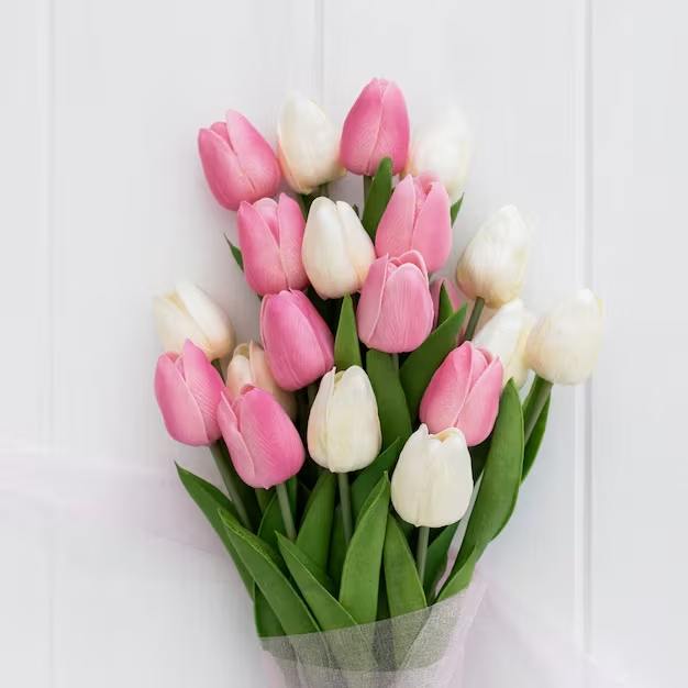 Pink and White Tulips bouquet - 20 tulips, 10 pink and 10 white styled in a presentation bouquet