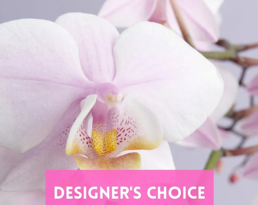 Designer's Choice Sympathy  - Custom Sympathy Design 