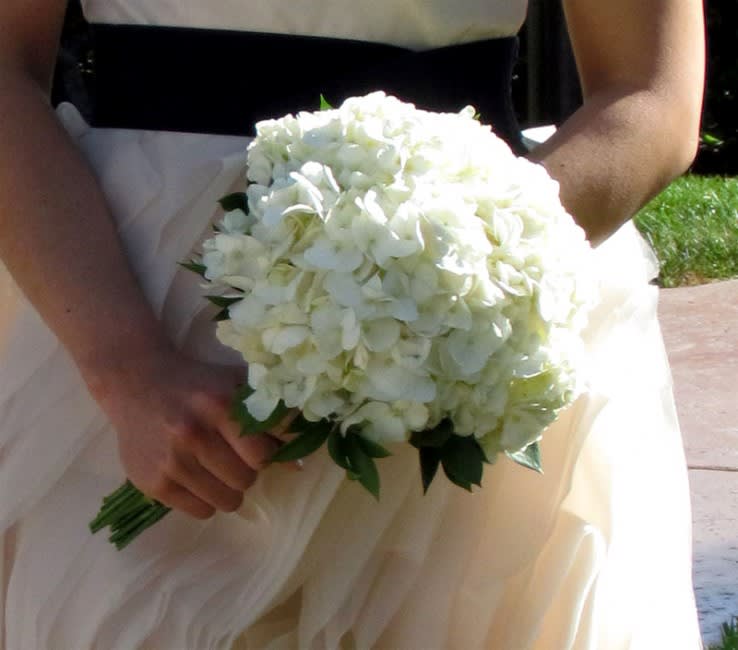 Hydrangea Wedding Bouquet - Crisp White Hydrangeas with Israeli Rascus. A simple and elegant Wedding Bouquet that can be universally used as a Bridesmaid or a Bridal Bouquet. Our premium imported Hydrangeas come in different colors and shades.  Standard - White Hydrangeas Deluxe - Pink, Green, Blue or Purple Hydrangeas