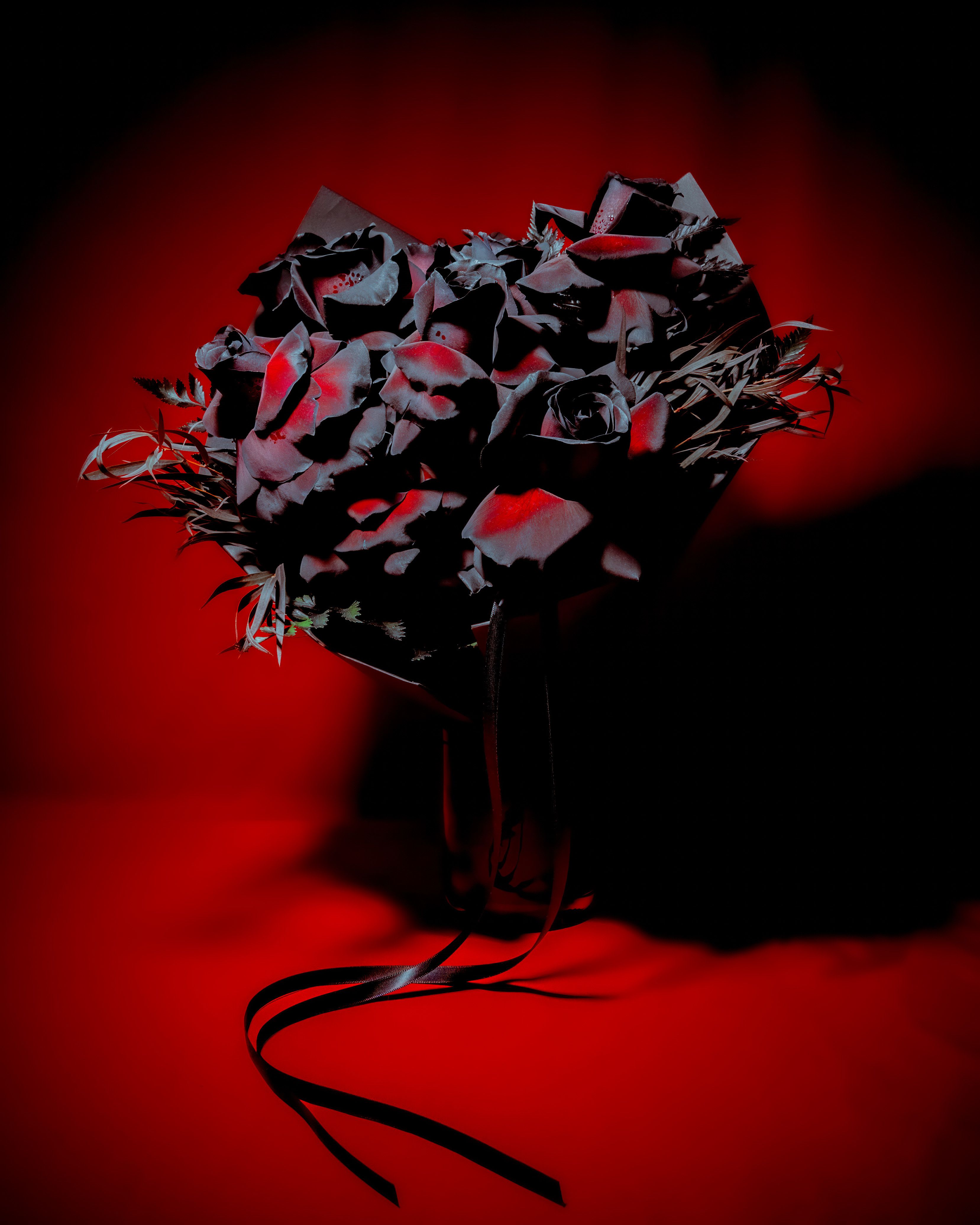 Two Dozen Black Roses (LIMITED TIME) - Two Dozen long stem black Roses!   Wrapped and tied to spooky perfection. 