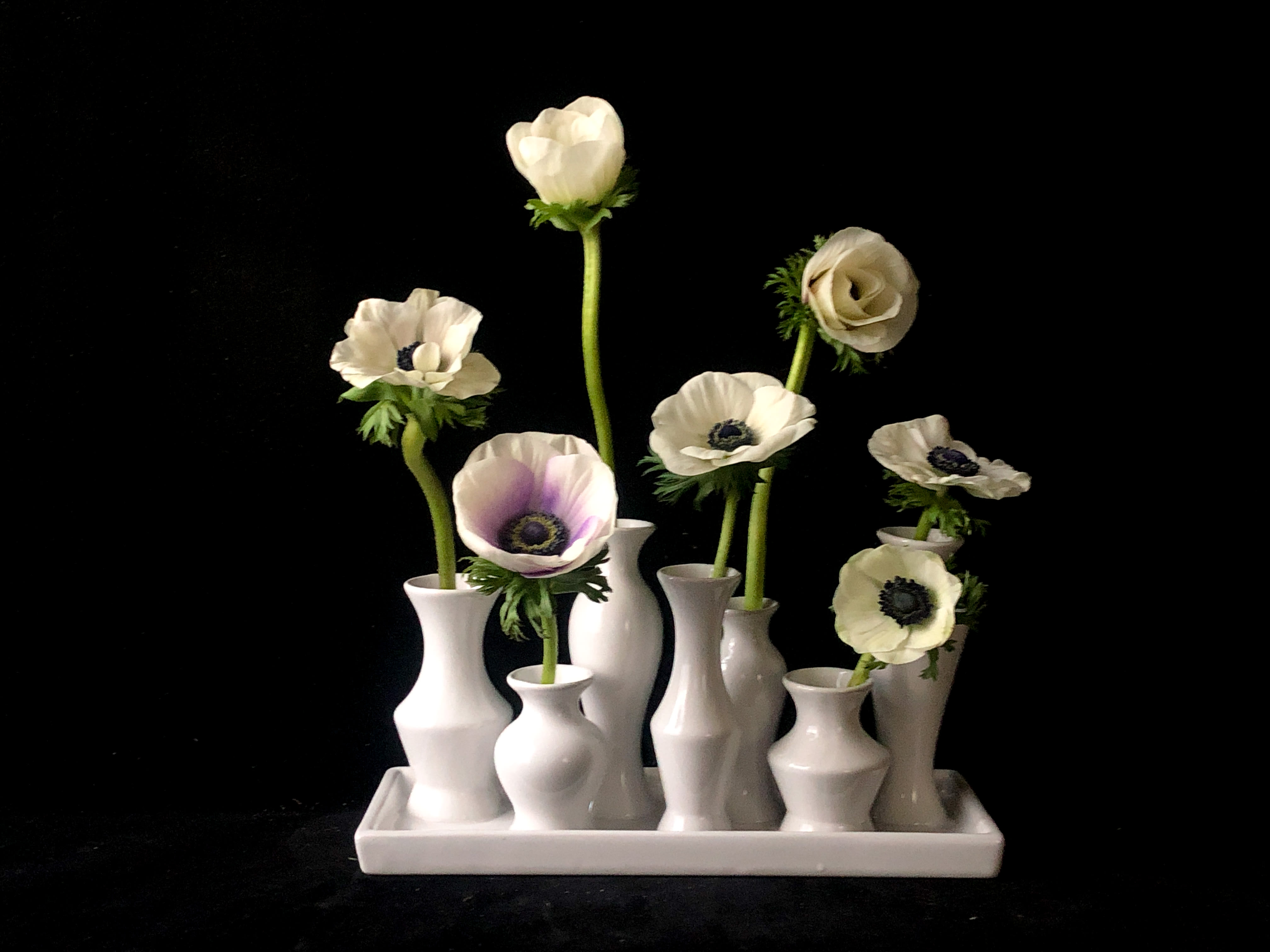 Flower Lover's Vase with Anemones - Simple and Chic, the vase becomes a loved way to display flowers over and over again. A cluster of 7 bud vases are part of a solid whole in our ceramic tray vase. Perfect for someone who loves flowers in their home everyday.  Anemone colors may vary, please specify on checkout if you have your heart set on a specific color and we'll do our best!  Vase Dimensions 11.75"x 4.5"x 6"  **A note on the element of “Surprise”  After delivering flowers for a few years, we’ve discovered it’s imperative we make delivery arrangements with the recipient prior to delivery. We’ve experienced too many dogs, closed gates, no one home, no safe place to leave flowers, people on vacation etc. There are just too many variables that can happen, and our top priority is getting your perishable gift safely into the hands of your lucky recipient. We have found even with advance notice, the person receiving beautiful flowers is surprised and delighted upon seeing them for the first time.   We typically deliver between 1-5pm. If you need a specific delivery time, you may select delivery time at check out for an additional fee.   -Thank you, California Sister 