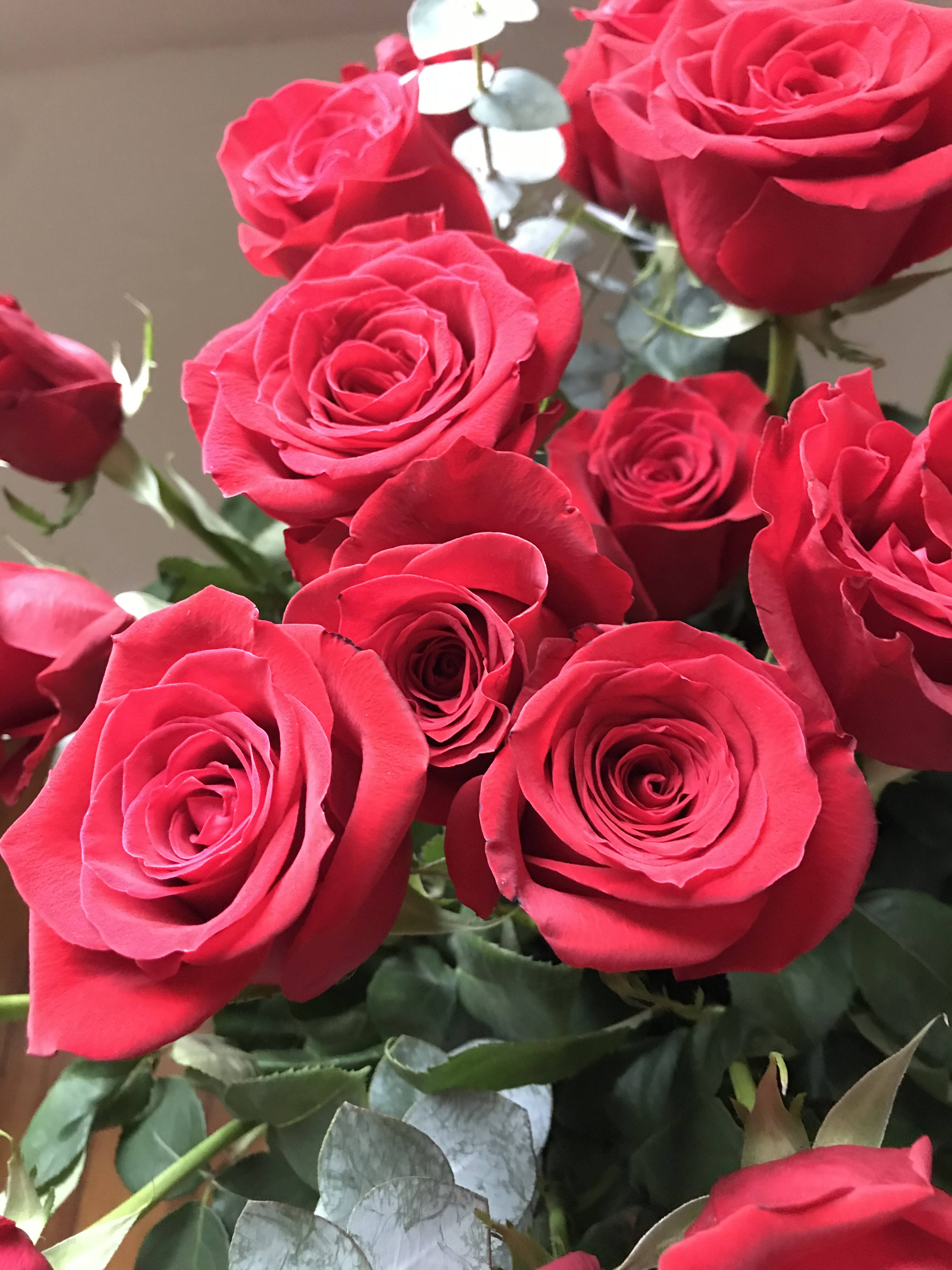 Red Roses - An elegant and classic long stem red roses bouquet in a tall cylinder vase. 2 dozen roses available as a premium option.