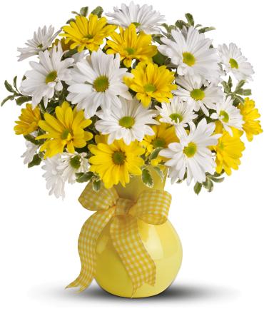 Upsy Daisy -   What could be sweeter than a cheerful yellow vase filled with white and yellow daisies? Can't think of anything? Then choose this sunny bouquet. It will brighten their day.  The bright bouquet includes white daisy spray chrysanthemums, yellow daisy spray chrysanthemums and bupleurum accented with fresh greenery. 