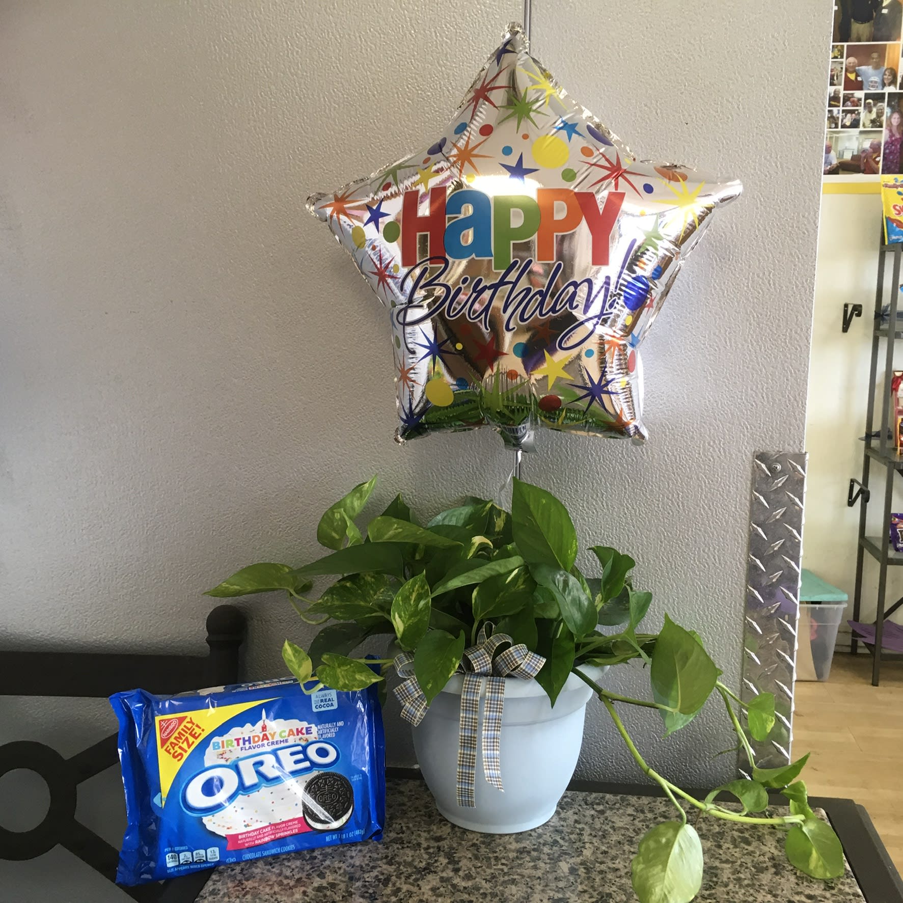 Birthday Plant &amp; Oreo Combo - As shown 