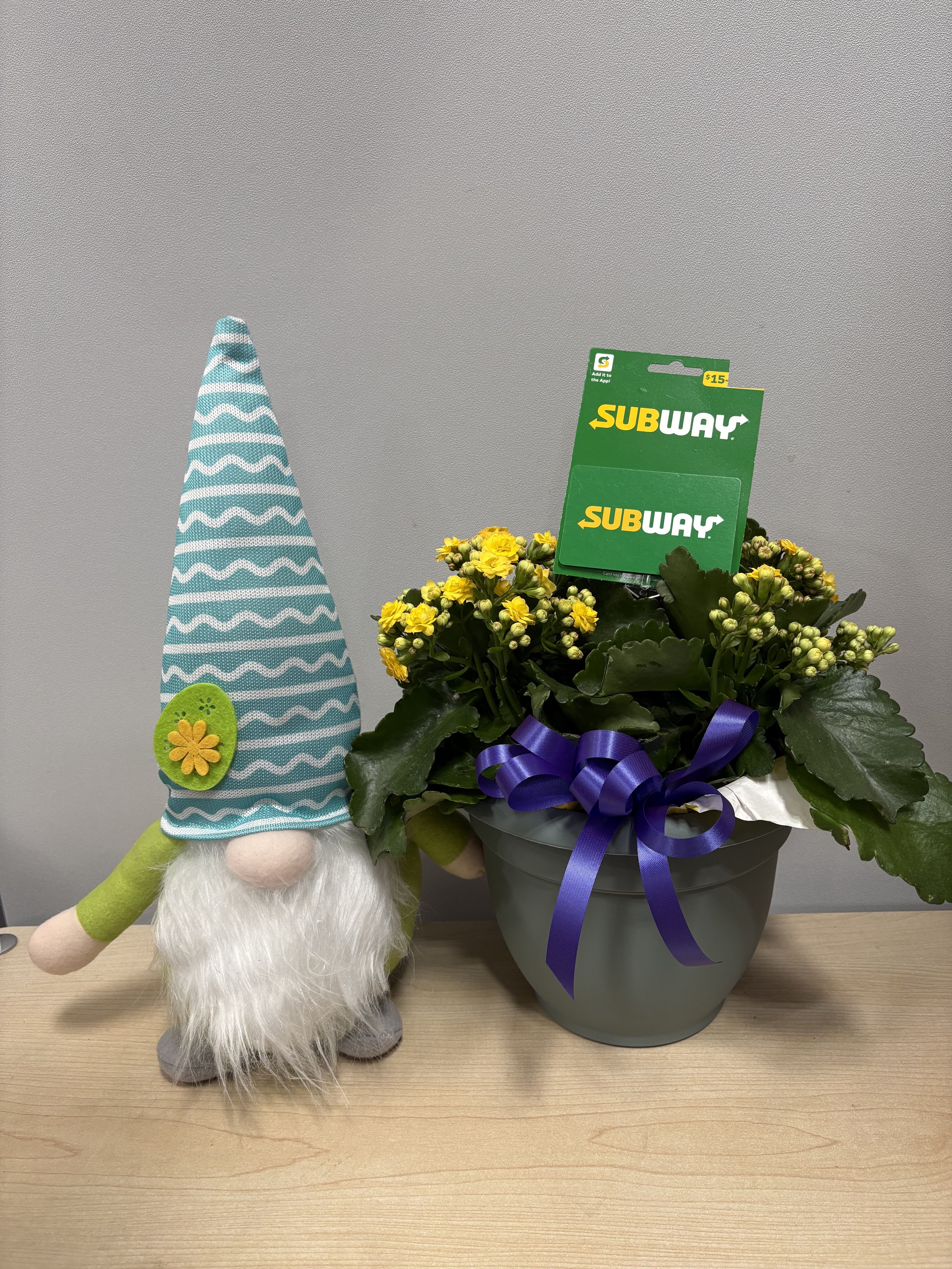 Daisy Gnome &amp; Kalanchoe Trio - As shown w/ $15 gift card included 