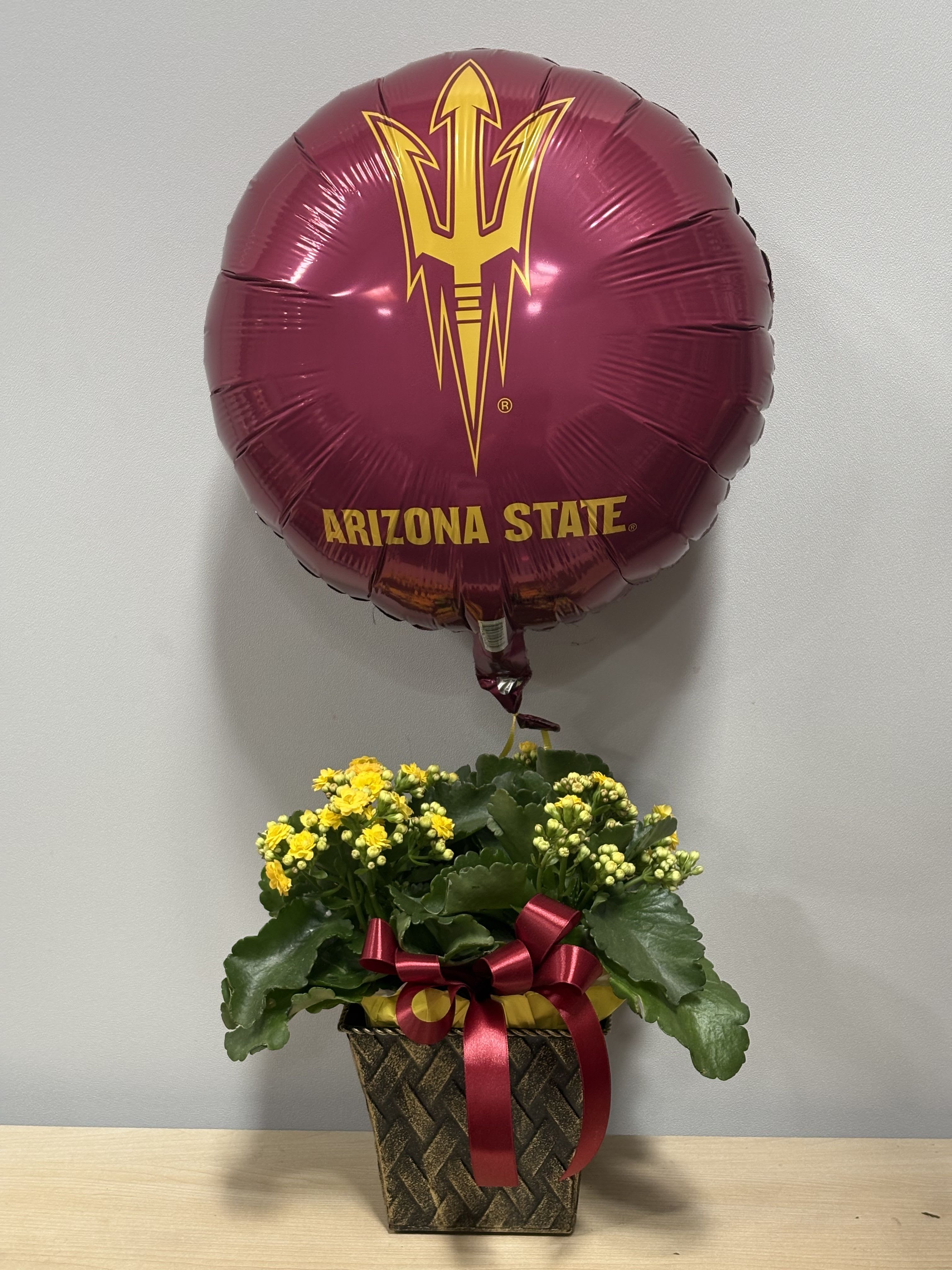 ASU Kalanchoe Duo - As shown 