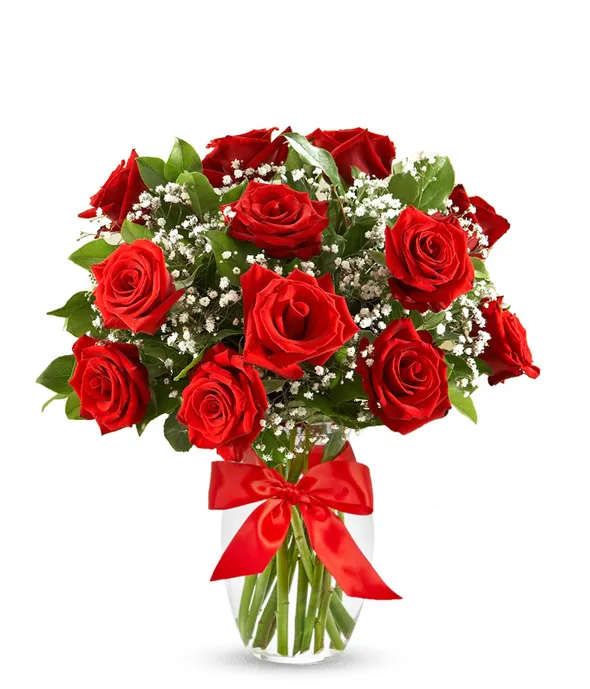 red roses deluxe - A stunning bouquet of one dozen vibrant red roses, elegantly arranged with delicate sprigs of baby's breath, captures the essence of love and passion. Nestled in a clear glass vase, the timeless beauty of the roses is accentuated, creating a romantic and enchanting display. A finishing touch of a red bow adds a touch 