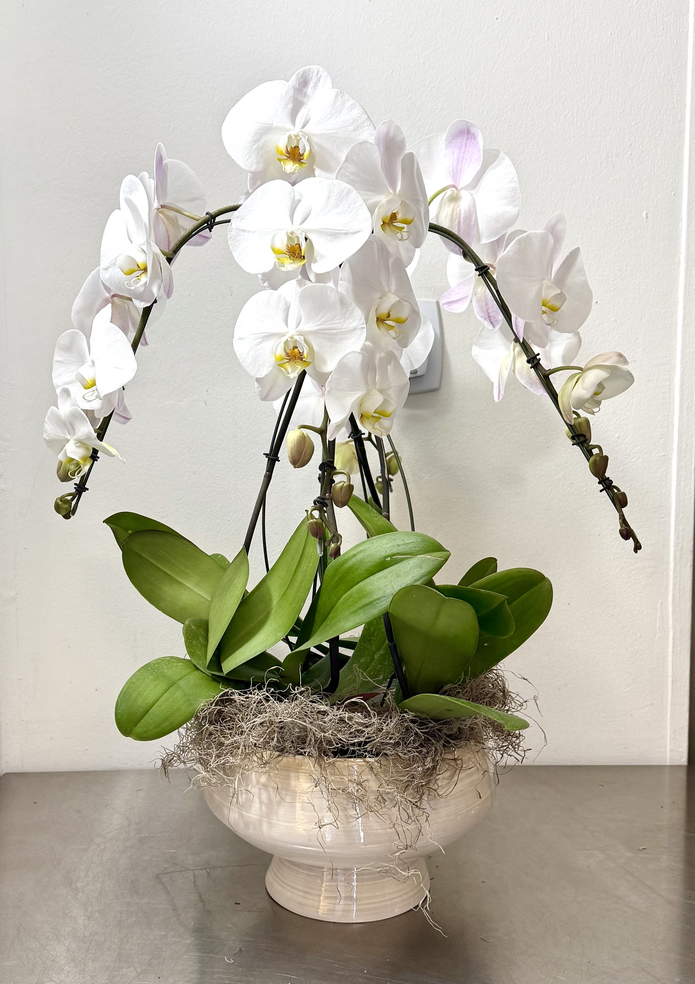 Arrangement with Phalaenopsis - 4 beautiful Phalaenopsis orchids 