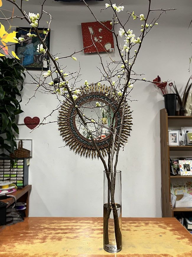 Quince Branch - Out arrangement - Bring an early spring feeling indoors with a Brooklyn exclusive: Quince branches, covered with white blossoms and green buds, are gathered and placed by hand into our distinctive cylinder glass vase.