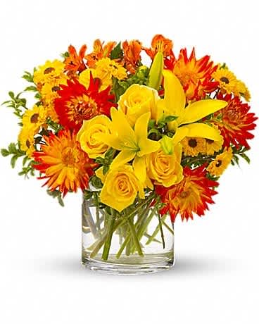 Summer Samba - Just like a lively samba, this bouquet is an uninhibited celebration of summer. If flowers could dance, these would be burning up the dancefloor. Yellow roses, asiatic lilies, orange dahlias and alstroemeria, yellow daisy spray Viking chrysanthemums and oregonia are delightfully arranged in a clear cylinder vase. It will definitely inspire a samba celebration!