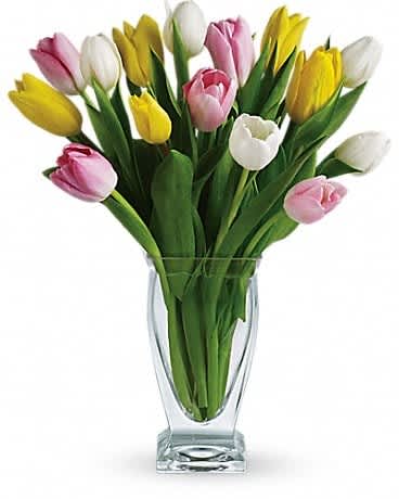 Teleflora's Tulip Treasure - There's no reason to tiptoe around the sheer delight of tulips! And if you're lucky enough to have a treasure-trove of tulips like this one at your fingertipsâ¦what are you waiting for? Lovely light pink, white and bright yellow tulips are delivered in a deluxe Couture Vase.