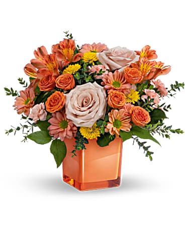 Teleflora's Orange Splendor Bouquet - Orange splendor! Celebrate any season, with this lush orange bouquet, artfully gathered in a fabulous coral glass cube vase. This bouquet features light orange roses, coral spray roses, peach alstroemeria, peach miniature carnations, yellow button spray chrysanthemums, and bronze daisy spray chrysanthemums. Delivered in a Coral Color Splash Cube.