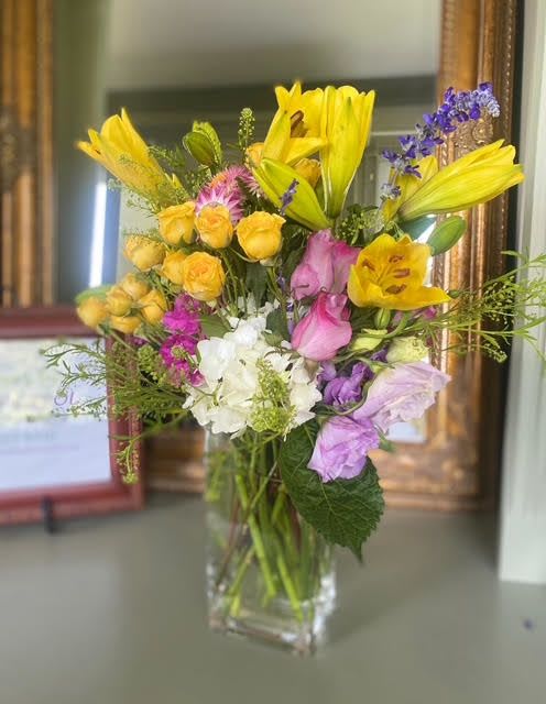 Lily Bliss - Perfect pop of color to any household