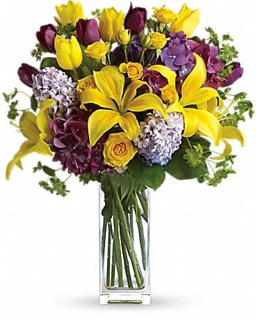 Teleflora's Spring Equinox - As beautiful as the beginning of spring, this brilliant bouquet carries the feeling of the sunshine on your skin after a long cold winter. Let the spring celebration begin with purple hydrangea and tulips, yellow spray roses, and even more tulips along with sunny asiatic lilies, lavender hyacinth plus green bupleurum and salal in a clearly beautiful bunch vase.