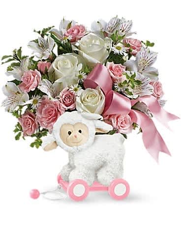 Teleflora's Sweet Little Lamb - Baby Pink - This little lamb can't wait to deliver your best wishes to the happy new family! Crafted of wood and covered in soft plush, it's a sweet decorative display piece for the baby's nursery that also delivers a dreamy bouquet of roses and alstroemeria to the new parents. Celebrate a new arrival with this arrangement of white roses, light pink spray roses, white alstroemeria, small white monte cassino asters and pitta negra. Delivered in a Sweet Little Lamb keepsake.