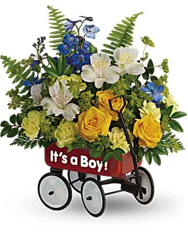 Teleflora's Sweet Little Wagon Bouquet - Give your welcome some wheels! A childhood classic, this cute red wagon is a whimsical way to send the new family a bright blue and yellow bouquet of roses and alstroemeria. Yellow spray roses, white alstroemeria, miniature yellow carnations, and blue delphinium are arranged with bupleurum, sword fern, huckleberry and leatherleaf fern. Delivered in a Baby's First Wagon.