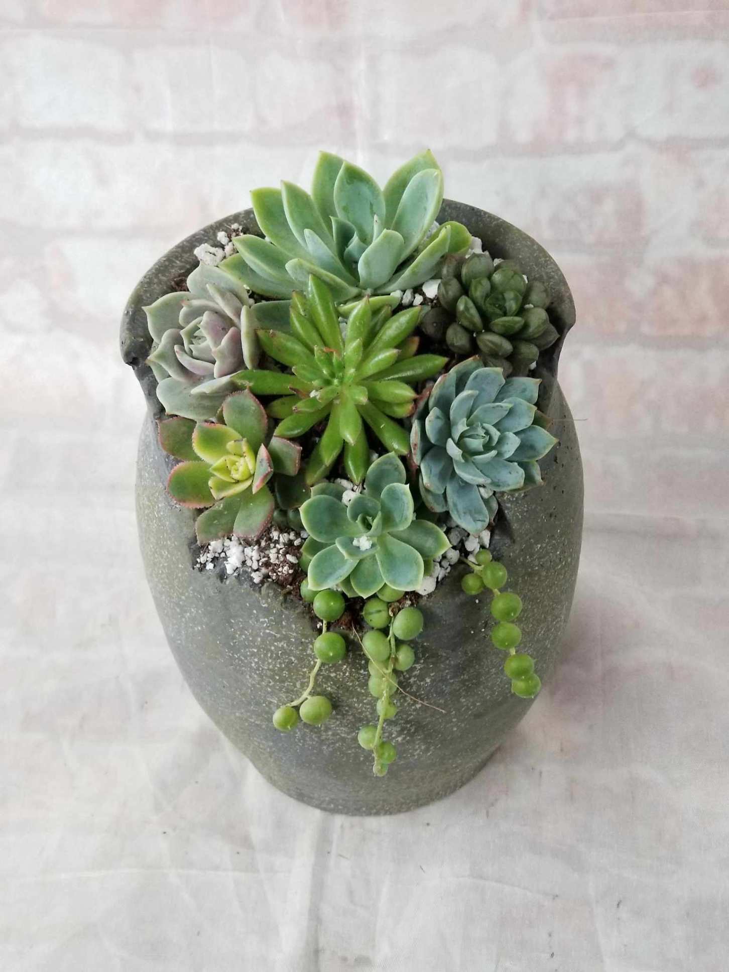 Broken Pot of Succulents  - Select this ceramic planter filled with succulents.  Approximately 8" tall by 5" wide