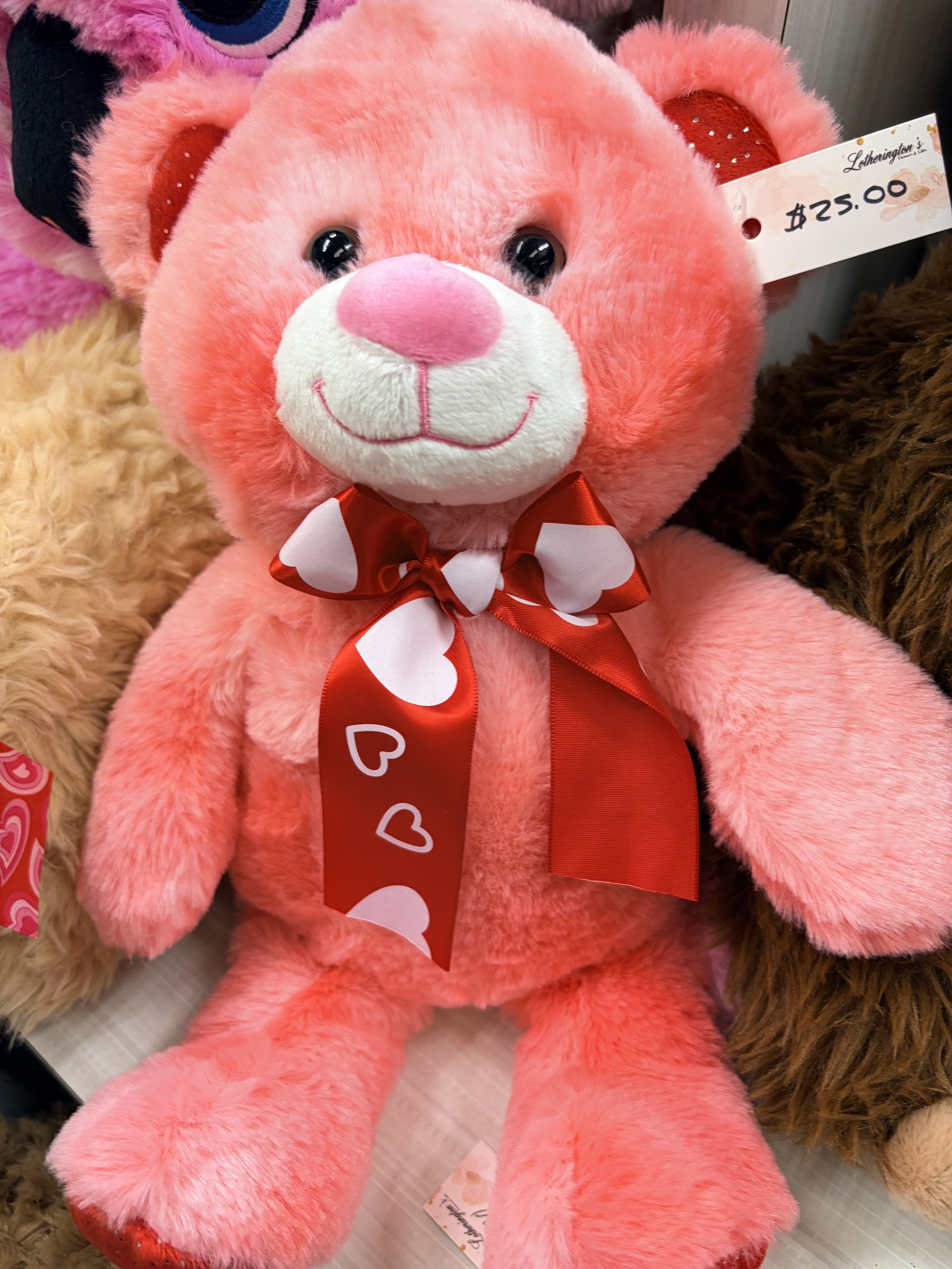 Valentine's Day Plush  - Send some Valentine's Day wishes with the perfect snuggly addition to any order. Will come wrapped and topped with a beautiful Lotherington's bow.