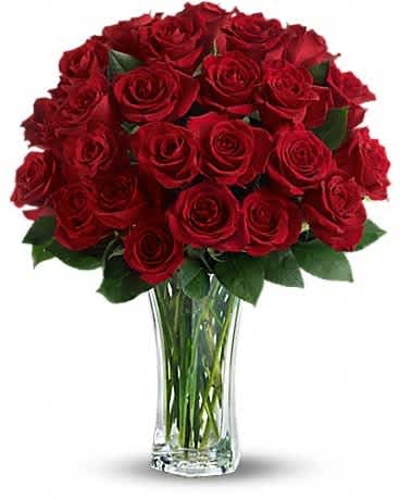 Love and Devotion - Long Stemmed Red Roses - Make love blossom all over again. Surprise her with not one, but two dozen gorgeous red roses in a sparkling clear glass vase. Life will be twice as rosy for you both - all week long. The spectacular bouquet features two dozen red roses accented with salal.Approximately 15" W x 22" H