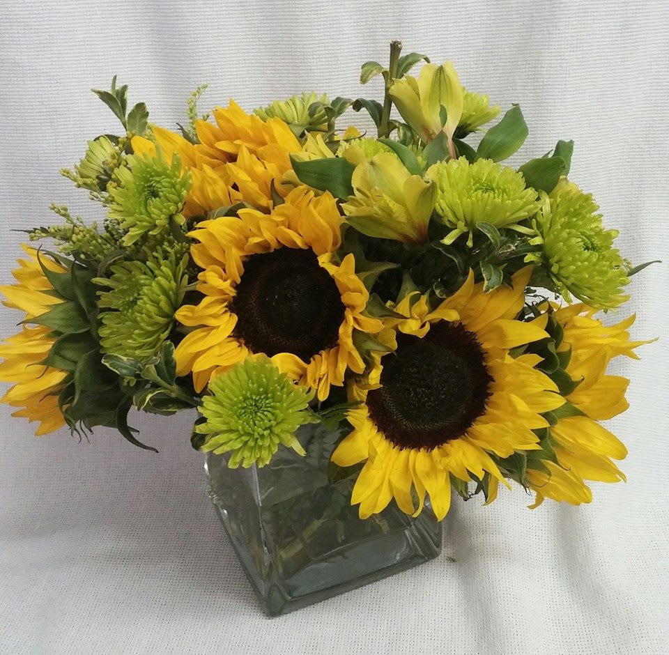 Simply sunflowers - This cheerful arrangement isn’t just eye-catching—it’s long-lasting, too. Sunflowers bring warmth and positivity, while the delicate Alstroemeria adds a pop of color and texture. The chrysanthemums provide a lush, full look that makes the bouquet feel abundant without being overwhelming. Perfect as a thoughtful gift or a little treat for yourself, this bouquet is sure to bring a smile to anyone’s face.