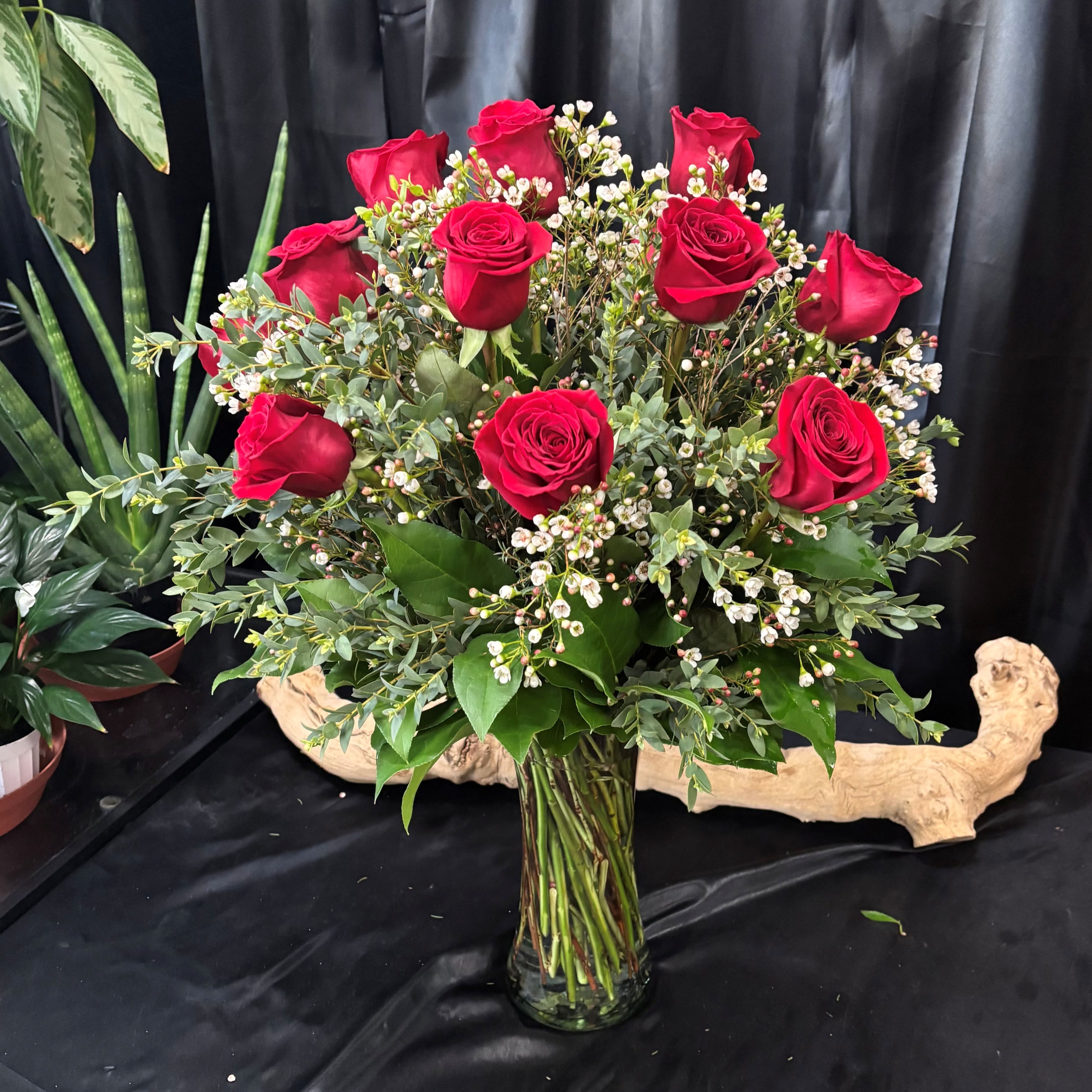1 Dozen Red Long Stem Roses arranged with Premium Greens and Filler - 1 Dozen of our beautiful long stem roses arranged with premium greens and accents. 
