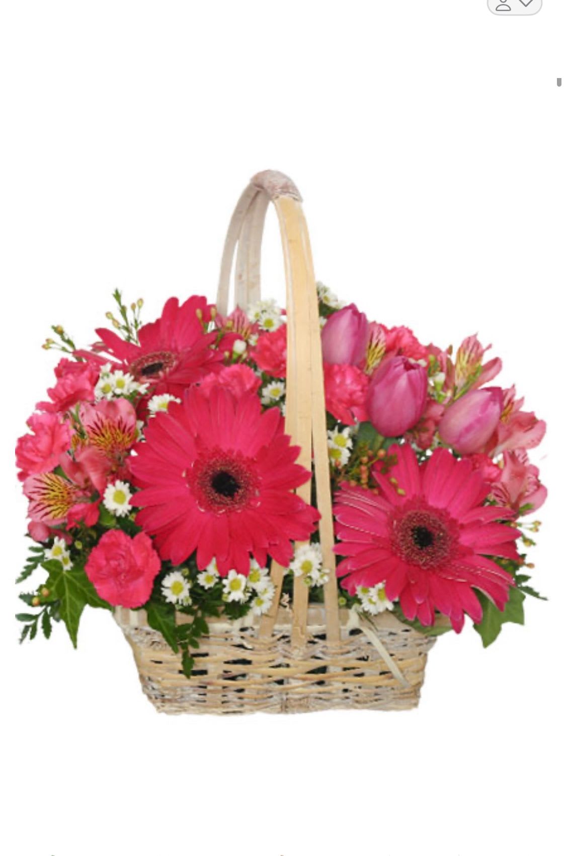 BEST WISHES BASKET - This darling basket is sure to answer some wishes! The hot pink gerberas, pink alstroemeria, and hot pink mini carnations pair brilliantly with the white waxflowers and white 'Monte Casino' aster, creating a breathtaking arrangement. Grand and gorgeous, they'll love getting the Best Wishes Basket!  Includes: Square Basket With Handle And Liner, Foliage: Ivy, Leather Leaf, Hot Pink Gerberas, Pink Alstroemeria, White Monte Casino Aster, White Waxflowers, Hot Pink Mini Carnations, Hot Pink Tulips.