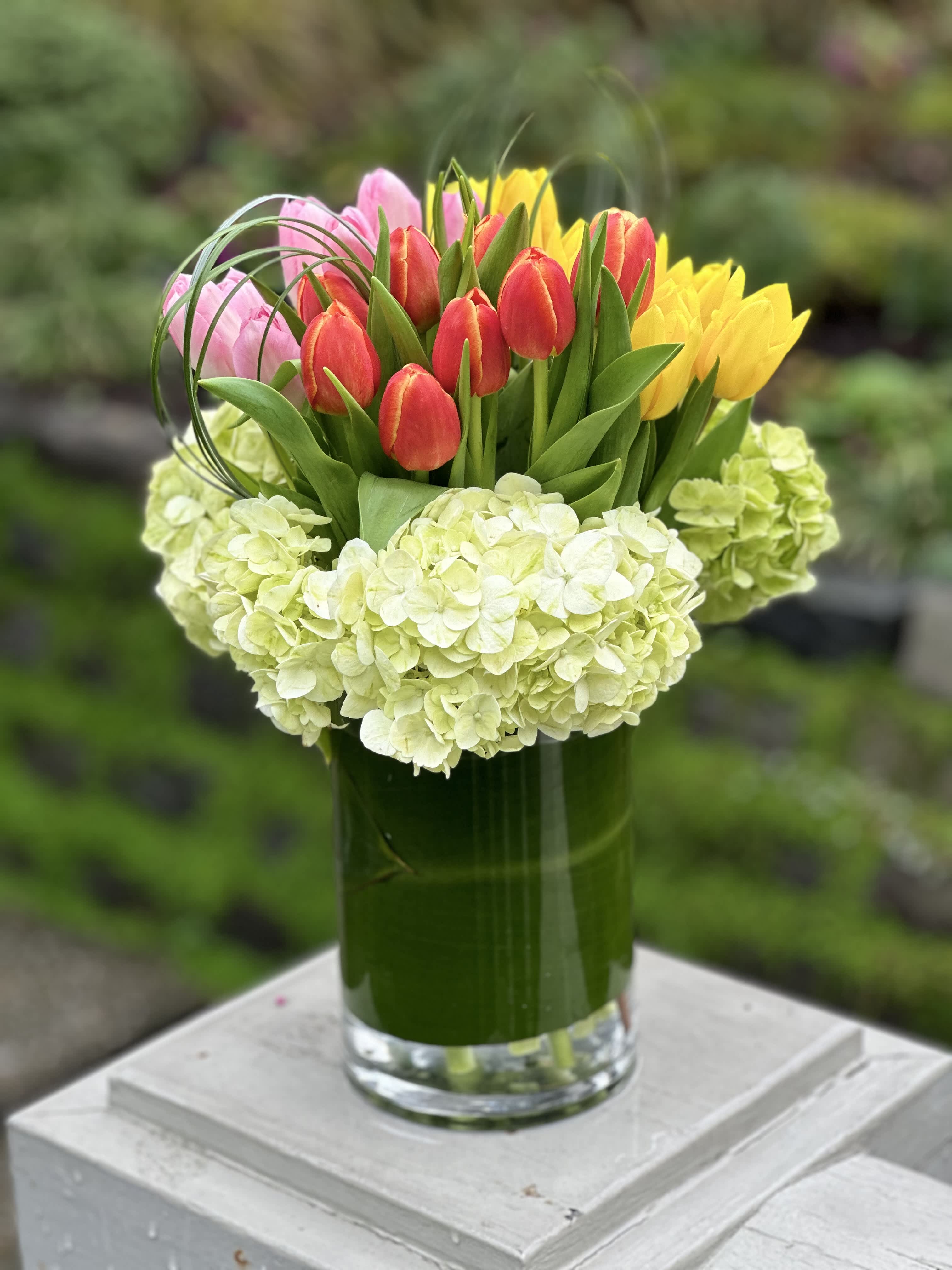 Sweetheart Tulip - Deliver the promise of surprise with a bouquet of our farm-fresh Dutch tulips artfully arranged with baby green spring hydrangea in a leaf-lined glass vase. 24 tulips  Note: Our tulips come in many spring colors! Your designer will select the finest of the days tulips so colors may vary slightly from picture.
