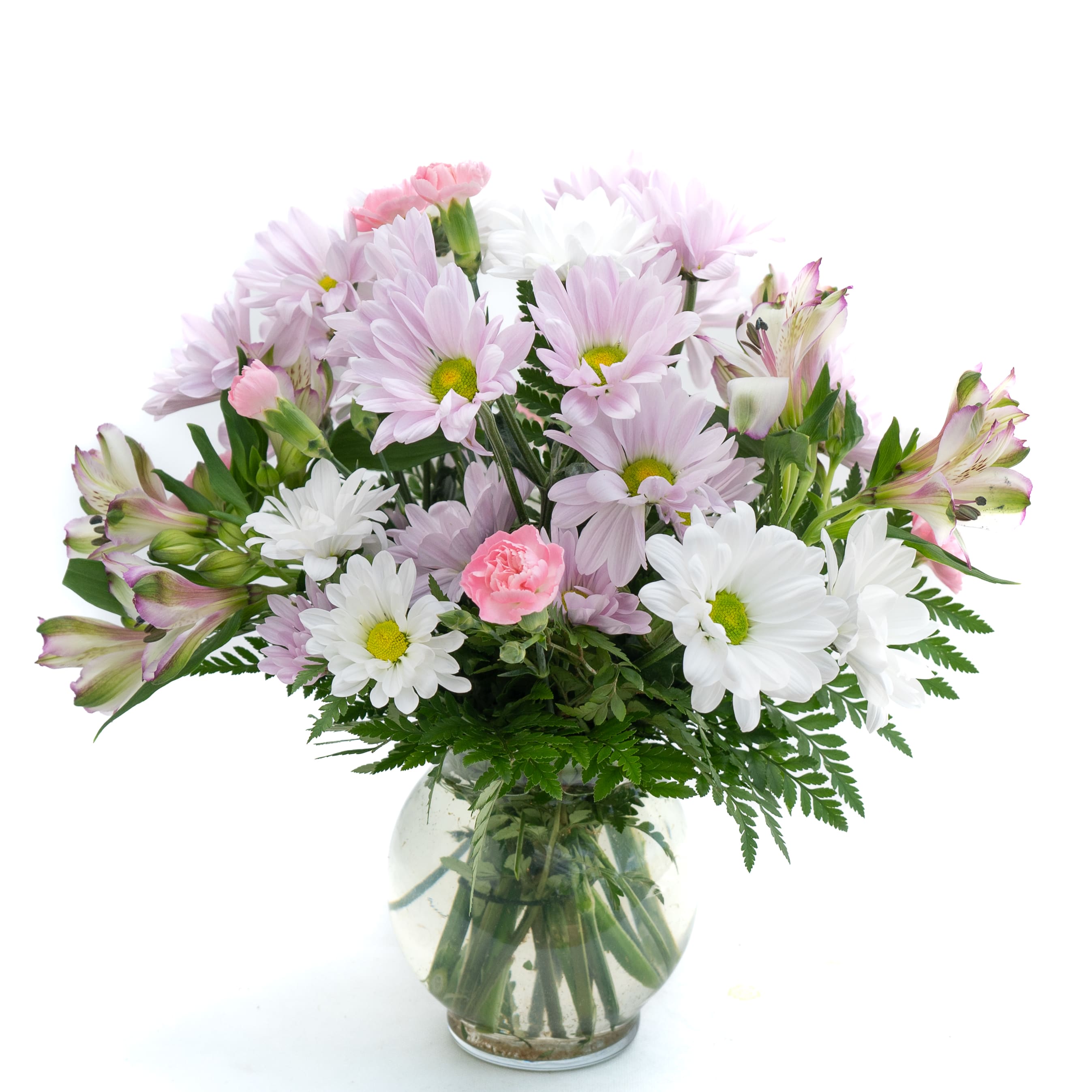 Blooms Everlasting - Daisies, Alstroemeria, and Mini-Carnations are presented in this clear glass Ivy bowl.  These cheerful blooms will last for days and are sure to put a smile on anyones face. This arrangement is 13" tall by 12" wide