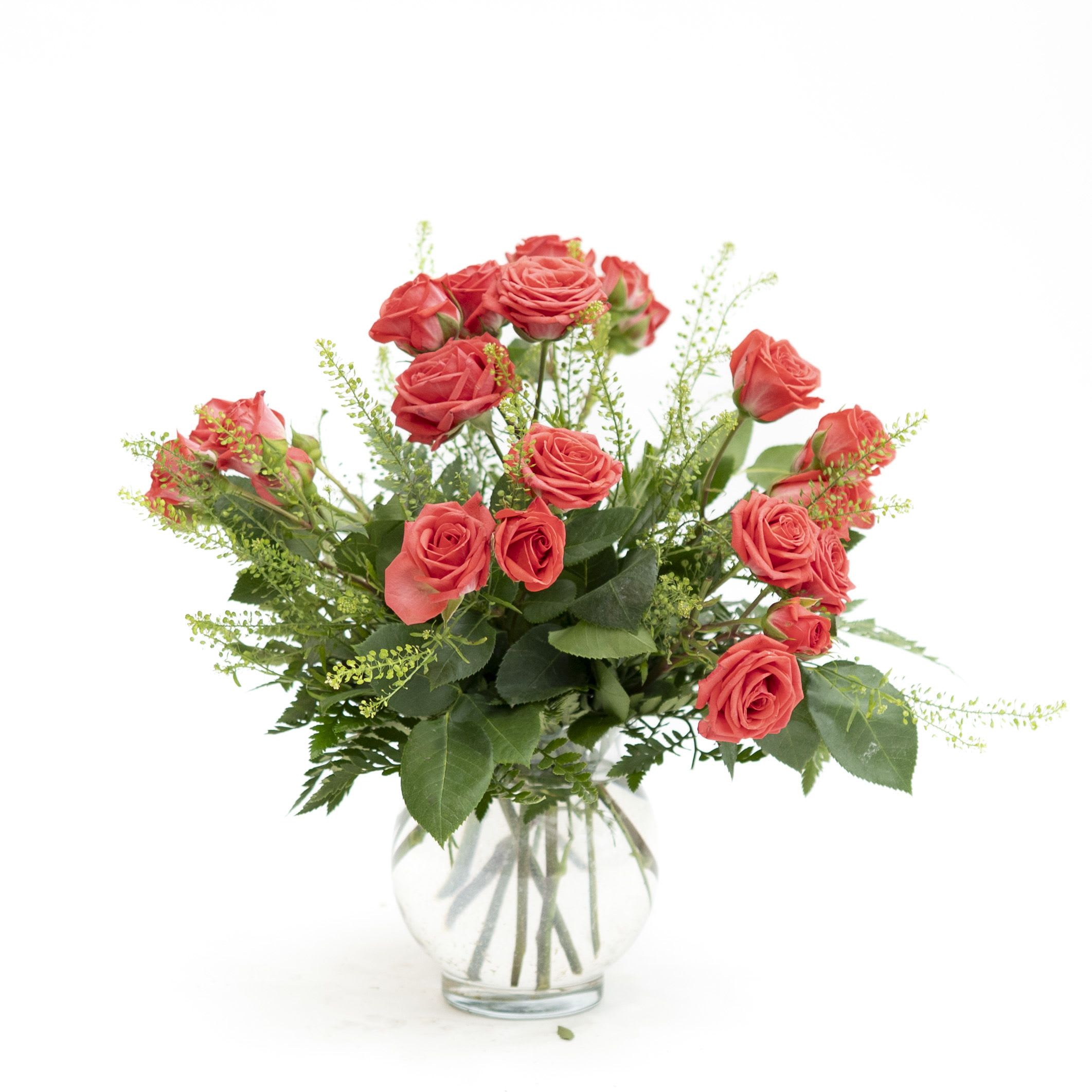 Coral Spray Rose Arrangement - Coral spray roses arranged in an ivy bowl with lepidium. 