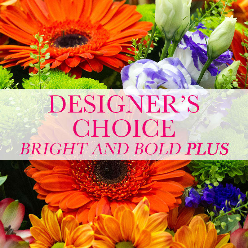 Designer's Choice - Bright and Bold Plus - Decisions are sometimes hard to make- we can help you and make those decisions and custom design an arrangement full of bright colors.  This plus sized custom design will wow the recipient and sure to bring excitement and a few "wows".  The color selection can include orange, yellow, purple, hot pink and other colors that tie into the design.